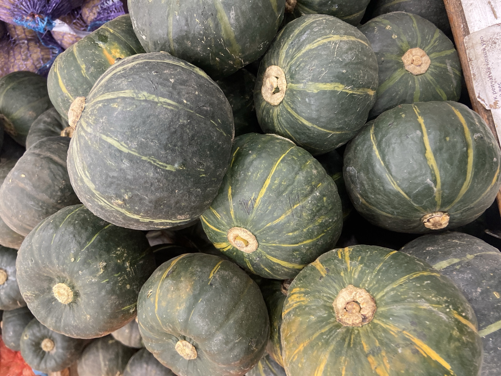 A pile of dark green pumpkins with yellow stripes is displayed at a market in Balashikha, Russia. The pumpkins are round and ribbed, with a light brown stem on each. Some of the pumpkins have a slightly rough texture, while others appear smoother. The overall impression is that of a fresh, seasonal harvest. The scene suggests a local food market or a greengrocer's stall.