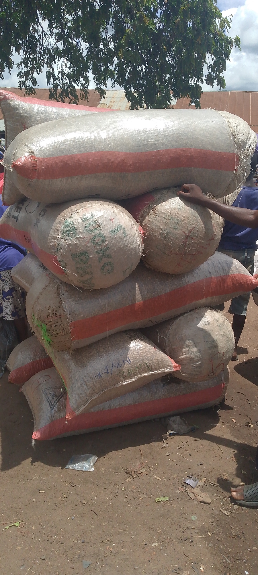 In Tor-Donga, Nigeria, a collection of large, woven sacks filled with goods is piled outdoors. The sacks, predominantly white with red stripes, are stacked precariously, some appearing worn and partially opened. The ground beneath them is dirt, strewn with debris and dry vegetation, suggesting an informal market or storage area. The background shows hints of tin-roofed structures and dense green foliage, possibly from a tree overhead, indicating a rural or semi-urban setting. A person's hand is visible, reaching towards one of the sacks, implying activity or inspection. Another person, wearing a blue shirt, stands partially visible to the right, and a foot in a sandal is seen on the ground, suggesting the presence of at least two individuals engaged in or observing the scene. The overall impression is one of commerce or logistics taking place in an unpaved, outdoor environment.