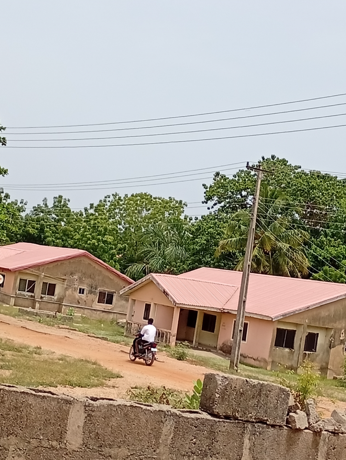 This image captures a daytime scene in a semi-rural or developing residential area, likely in Adankolo, Nigeria. The sky appears bright and possibly hazy or overcast, diffusing the light without casting strong shadows.
In the mid-ground, a lone individual is seen from behind, riding a dark-colored motorcycle along a reddish-brown dirt road. The rider wears a white short-sleeved shirt and dark trousers, and is moving away from the viewer, positioned centrally between two single-story houses.
To the left, a house with a reddish-pink corrugated metal roof and weathered concrete walls is visible. It features several dark windows. To the right, another similar house, slightly closer and appearing peach or light pink, also has a reddish-pink corrugated metal roof and concrete walls, with multiple dark window openings and a recessed porch or entrance. Abundant green trees and dense foliage fill the background and surround the houses, including discernible palm trees, indicating a lush environment.
A tall wooden utility pole stands to the right of the closer house, supporting several parallel power lines that traverse the upper part of the image. In the immediate foreground, a low, unfinished concrete block wall, topped with some loose concrete blocks, partially frames the scene. The setting suggests a modest residential area with unpaved roads and basic infrastructure. No visible text is present in the image.