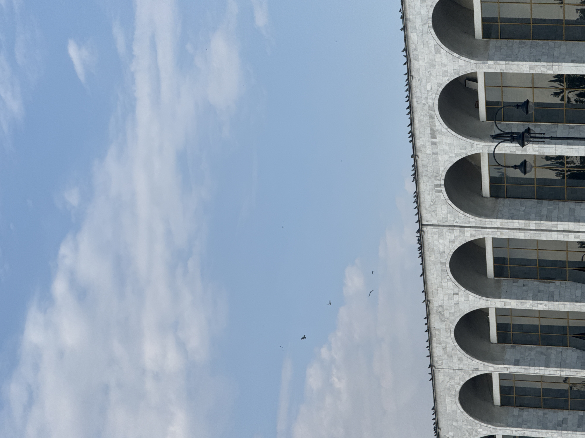 A flock of birds is perched on the roof of a grand marble building with large arched windows. The sky is a clear blue with scattered white clouds. The building appears to be an office or institutional structure, possibly a government building, given its imposing architecture. The reflection of palm trees is visible in the windows. A street lamp stands in front of the building. The scene is peaceful and serene, with the birds adding a touch of life to the otherwise static architecture. There are no people visible in the image. The location is identified as Bishkek City, Kyrgyzstan.