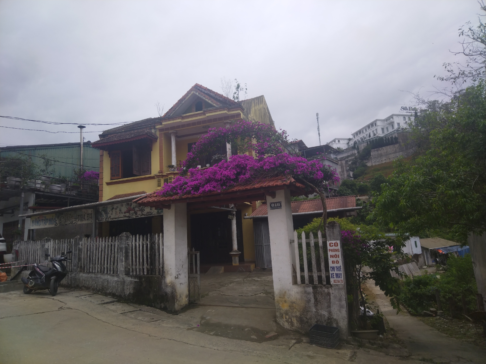 This image presents a street view in Sa Pa Ward, Vietnam, under a cloudy, overcast sky. The central subject is a two-story house with a distinct yellow facade, a red-tiled roof, and decorative columns. The most striking feature of the house is the vibrant purple bougainvillea that cascades over its entrance archway and adorns its upper balcony, adding a rich burst of color to the scene.
In the foreground, a paved street leads to the house's entrance, which consists of two white pillars supporting a tiled arch, flanked by a rustic wooden picket fence. A dark scooter is parked on the street to the left. Text on the wall behind the fence reads "HẰNG TẬP HOA TRA DA," likely indicating a general store or tea shop. The number "016" is visible on one of the gate pillars. On the right gate pillar, a sign advertises "CÓ PHÒNG NỘI BỘ CHO THUÊ XE MÁY" (Rooms for rent, motorbike rental) along with a phone number, "0832 844 778."
The setting is a hilly landscape, with green foliage and trees surrounding the buildings. In the background, on a higher elevation, a large, white multi-story building, identified by the "Silk Park" sign on its roof, stands prominently against the cloudy sky. The overall impression is a quiet, residential area, characterized by its unique architecture and the natural beauty of the lush vegetation and distant hills.