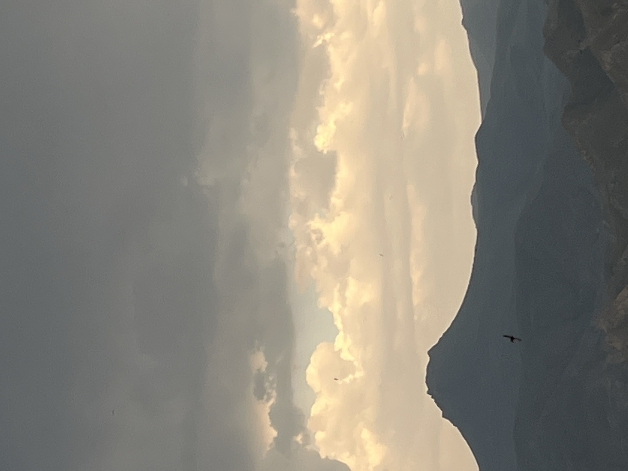 A bird is in flight against a silhouetted mountain range under a cloudy sky. The mountain range is dark and layered, with a prominent peak in the center. The clouds are a mix of dark grey and bright yellow, suggesting a transition in weather or time of day. The bird is small and appears to be a raptor with outstretched wings. The image is taken from a distance, giving a sense of vastness to the landscape.
