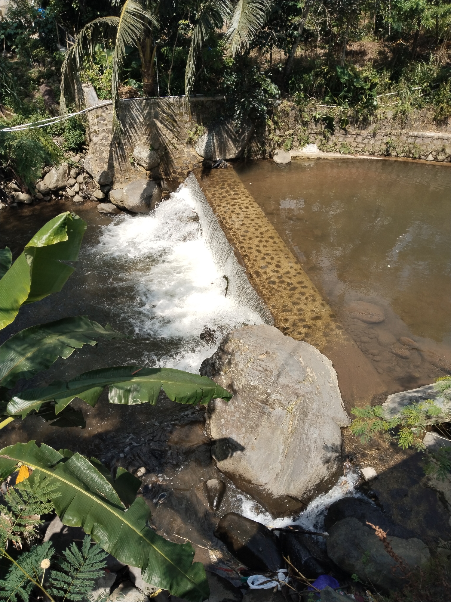 Here is a detailed description of the image:
**Scene:** A natural stream or river environment, seemingly unaltered by human intervention.
**Location:** The exact location is unknown.
**Subject:** A small dam or weir is visible across the stream, with water cascading over it, creating a small waterfall effect.
**Objects:**
* **Water:** The stream itself is the most significant object, with flowing, churning water.
* **Rocks:** Various sizes of rocks and stones are scattered around the water, contributing to the natural landscape.
* **Vegetation:** Lush green vegetation is abundant, including large banana-like leaves and various trees and plants along the stream banks.
* **Dam/Weir:** A structure of concrete blocks spanning the width of the stream.
**Environment:** The environment appears to be a natural, possibly rural area. The vegetation suggests a humid or tropical climate.
**Actions:** Water is flowing over the dam, creating movement and sound.
Overall, the image captures a natural scene with flowing water, rocks, and abundant vegetation, interrupted by the presence of a small dam structure.