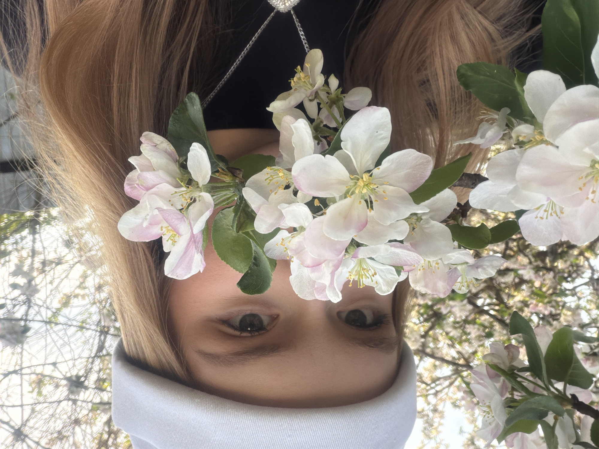 A close-up, upside-down photograph shows a person's face framed by light brown hair and white and pink apple blossoms. The person has light skin, brown eyes, and is wearing a white hooded sweatshirt or sweater with the hood pulled up. The blossoms are arranged around their head, with some in sharp focus and others blurred. In the background, branches of flowering trees are visible, indicating the photo was likely taken outdoors. There are no clear landmarks or clues to confirm the location of Кадряково, Russia.