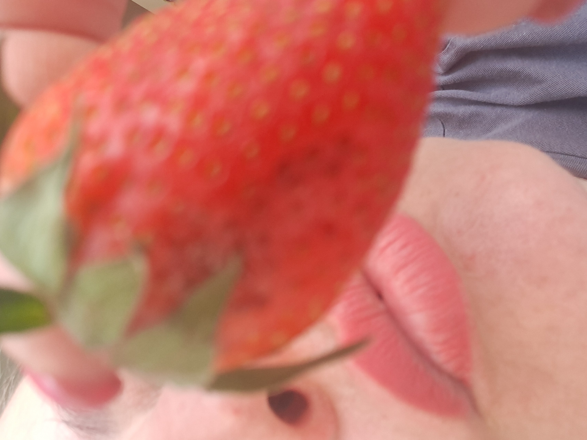 A close-up image shows a person holding a strawberry near their face. The strawberry is red with green leaves and is positioned in the foreground, partially obscuring the person's face. The person's lips are visible and appear to have lipstick on. The nose is also visible, and part of the eye can be seen. The background is blurred, but a gray fabric or clothing item is discernible. The photo's depth of field is shallow, keeping the strawberry and lips in focus while other areas are blurred. There is no information to determine the location in the city of Elektrostal, Russia, or any other location.