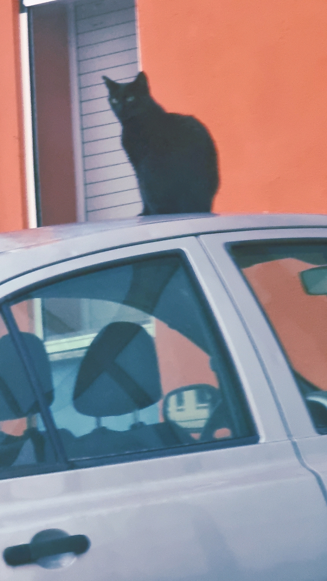 A black cat is perched on the roof of a silver car, casting a shadow against a bright orange wall. The cat appears to be sitting upright with its head turned slightly to the left, its eyes glowing green. The car's windows reflect the surrounding environment, including the orange wall and what appears to be the interior of the car, showing headrests. The background suggests an urban setting, possibly a residential area in Sant Joan Les Fonts, Spain, with a building featuring horizontal blinds. The lighting indicates daytime.