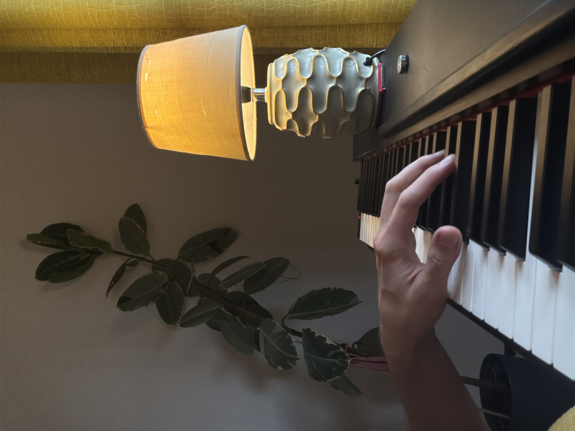 A person's hand is playing a piano, which is positioned under a lamp with a patterned base and a beige shade. A leafy plant is beside the piano, and a textured yellow surface is above the lamp. The location in the city of Budva, Montenegro, cannot be determined from the image.