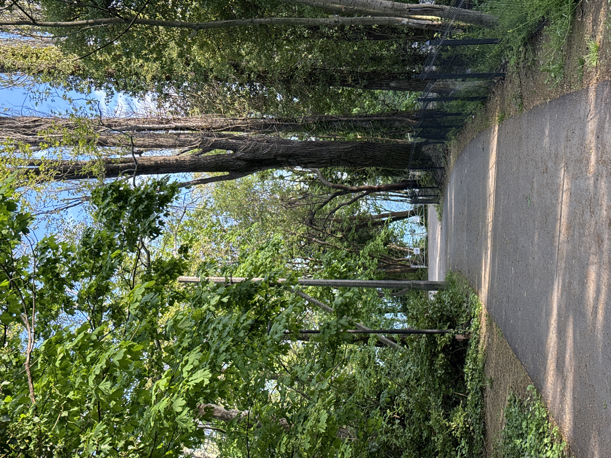 A paved pathway, flanked by dense green vegetation and trees, stretches into the distance under a partly cloudy sky. A metal fence runs along the path's edge. The scene is located in Varna, Bulgaria.