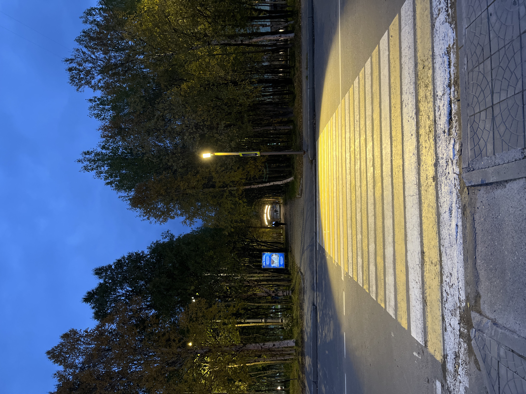 The image shows a crosswalk illuminated by a streetlamp on a street in Monchegorsk, Russia. The sky is a deep blue, indicating it is either dusk or dawn. Trees line the sides of the street, with some leaves showing autumn colors. A sidewalk is visible beyond the crosswalk, and a person can be seen walking in the distance. The crosswalk itself is marked with yellow and white stripes, and is well-lit by a streetlamp positioned to the right of the image. The overall scene suggests a quiet, urban environment during twilight.