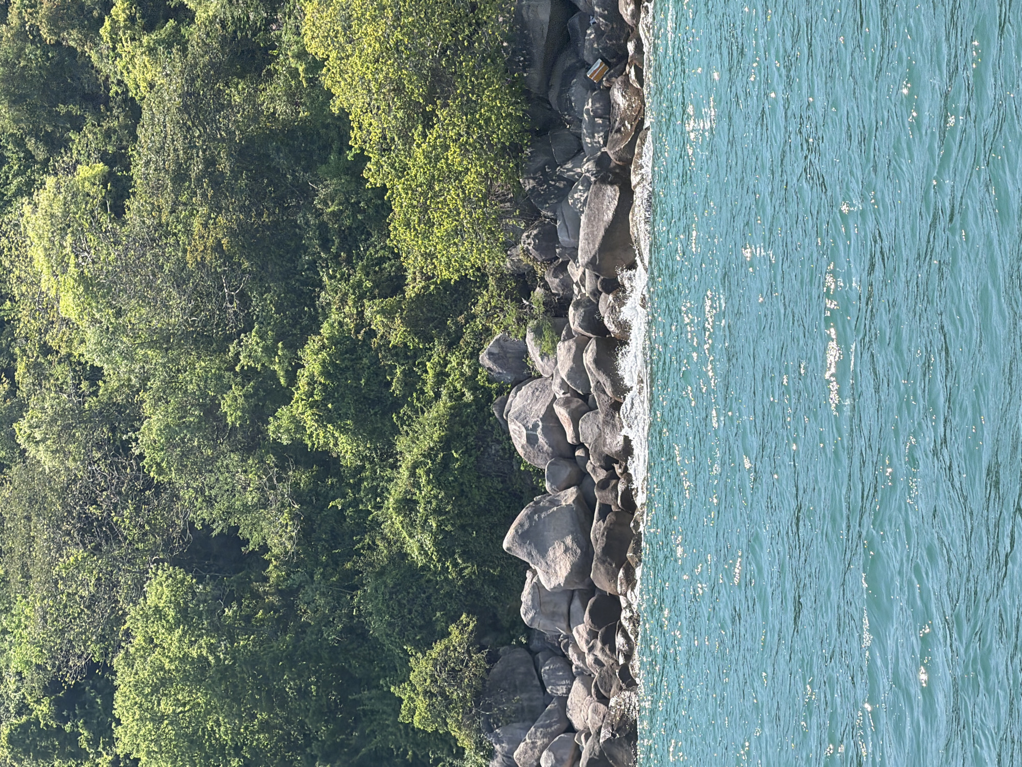 The image shows a coastal scene with lush green foliage covering a hillside that slopes down to a rocky shoreline. The water in the foreground is a vibrant turquoise, with small waves gently lapping against the rocks. Sunlight glints off the surface of the water, creating a shimmering effect. The rocks themselves are varied in size and shape, with some appearing smooth and rounded, while others are more jagged and rough. A few scattered pieces of debris, including what appears to be a piece of white and orange plastic, are visible amongst the rocks on the right side of the frame. The overall impression is one of a serene and natural environment.