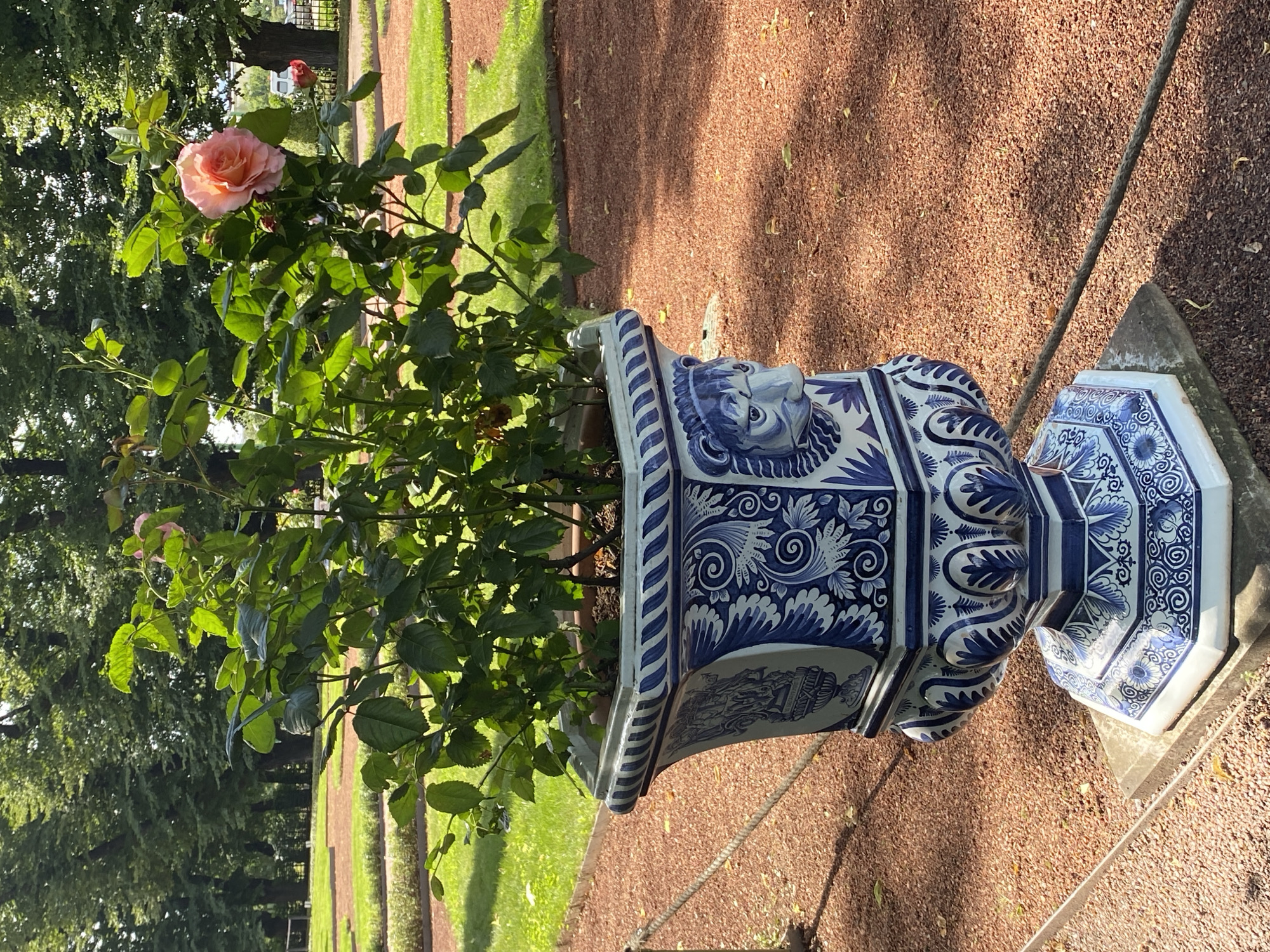 A large, ornate blue and white ceramic planter sits on a stone pedestal in a park setting. The planter is octagonal and decorated with intricate patterns, including depictions of faces that resemble lions or mythical creatures, and detailed scrollwork. A rose bush with green leaves and a single, large, pale pink rose in bloom is planted in the planter. The rose bush is illuminated by sunlight, casting shadows.
The park has pathways of reddish gravel and manicured green lawns bordered by low hedges. In the background, tall trees with lush green foliage line the perimeter of the park, creating a dense canopy. The scene appears to be on a sunny day, as indicated by the strong shadows. The style of the planter and the formal garden layout suggest this location is likely within a historic estate or park in Saint Petersburg, Russia, possibly the Pavlovsk Park, known for its neoclassical landscape and decorative elements.