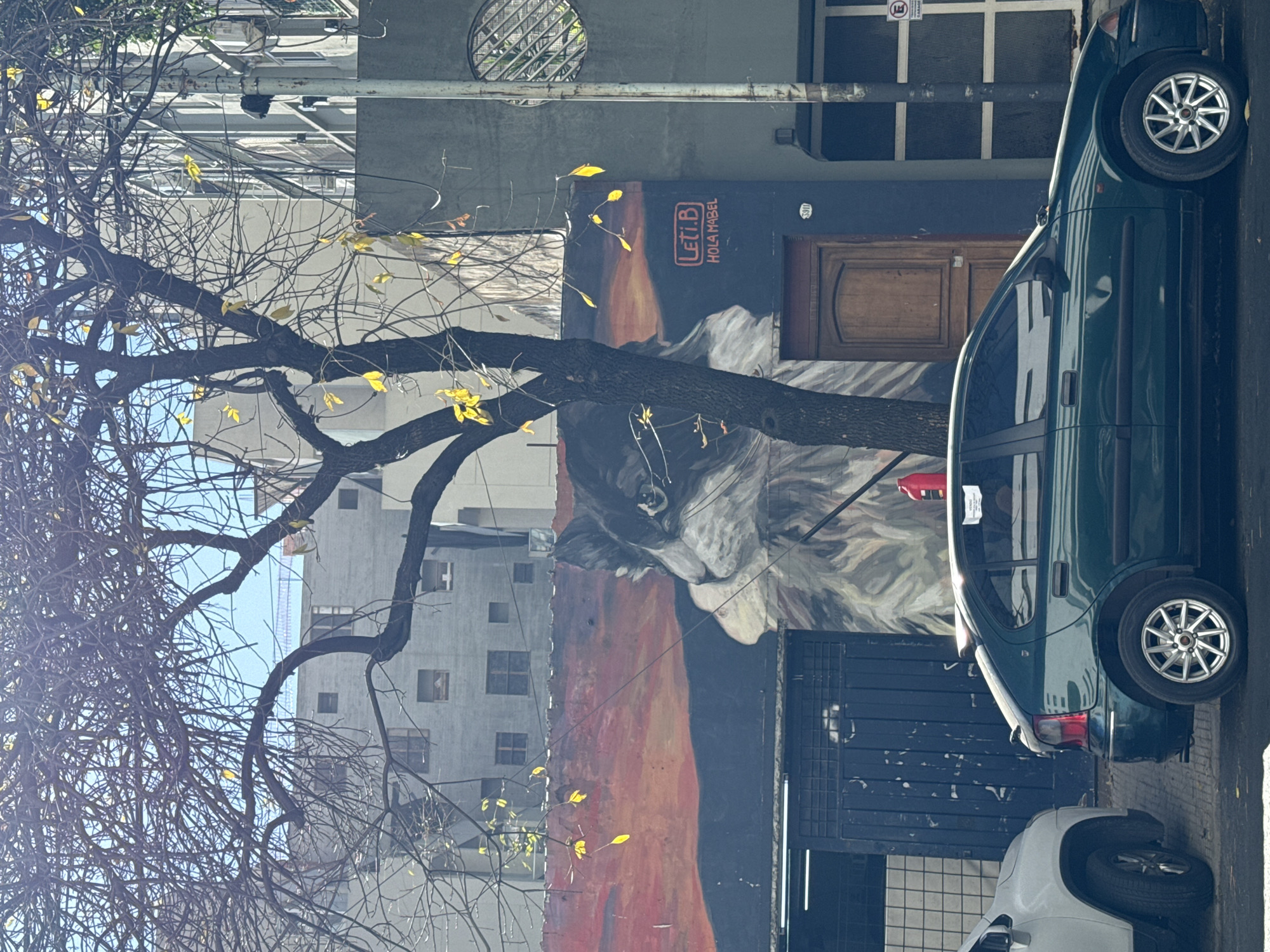 The image depicts an urban street scene in Buenos Aires, Argentina. In the foreground is a tree with bare branches, with a few yellow leaves clinging on. Behind the tree is a building with a large mural of a cat's face on its exterior wall. A green car is parked in front of the building, partially obscuring the mural and the entrance to the building. A sign on the building reads "Leti. B Hola Mabel". A white car is parked behind the green car. Other buildings can be seen in the background, suggesting a densely built urban environment.