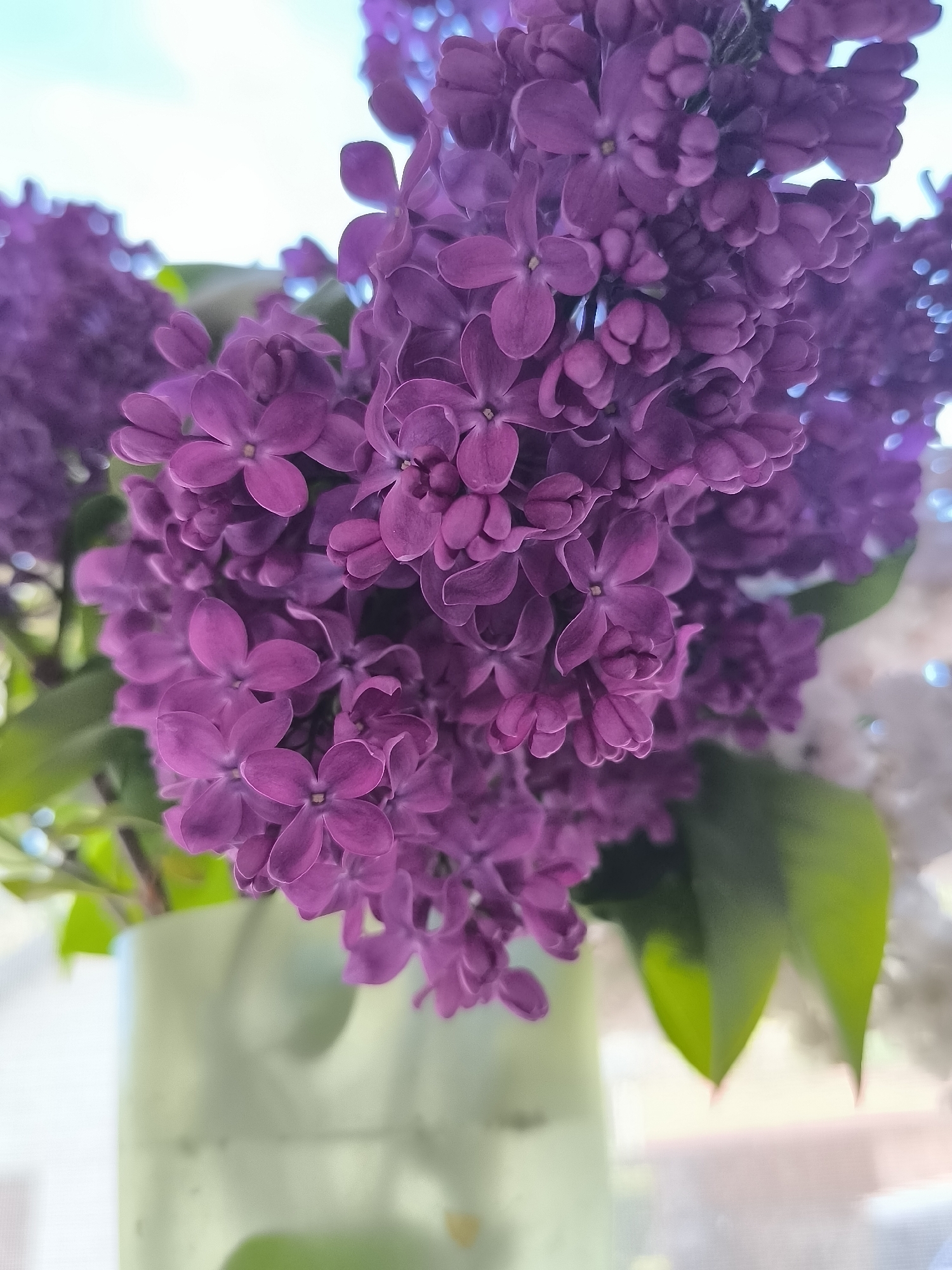 A close-up shot shows a bouquet of purple lilacs in a light green vase. The flowers are clustered tightly together, with some green leaves visible among the blooms. The background is a blur of light colors, suggesting a window or other light source.