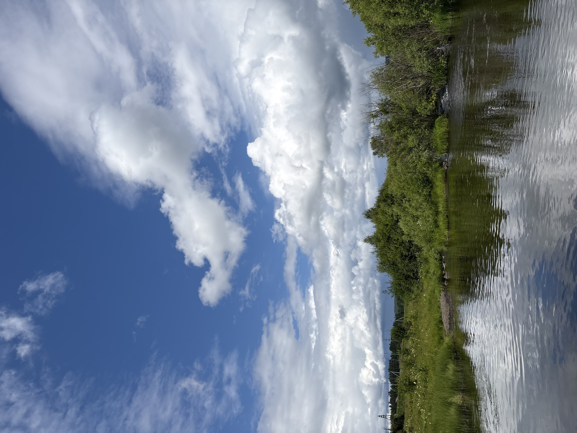 The image shows a tranquil river scene on a partly cloudy day. The sky is a vibrant blue, with fluffy white clouds scattered across it. The river in the foreground reflects the sky and the lush green trees that line its banks. The trees are dense and varied, with some appearing as bushes and others as taller trees. On the far bank, there is a grassy area with some scattered white wildflowers. In the distance, on the left side of the image, there are some structures that appear to be power lines or transmission towers, along with some scattered buildings. The overall impression is one of a peaceful, natural landscape with hints of human infrastructure in the background. The location is the city of Невон, Russia.