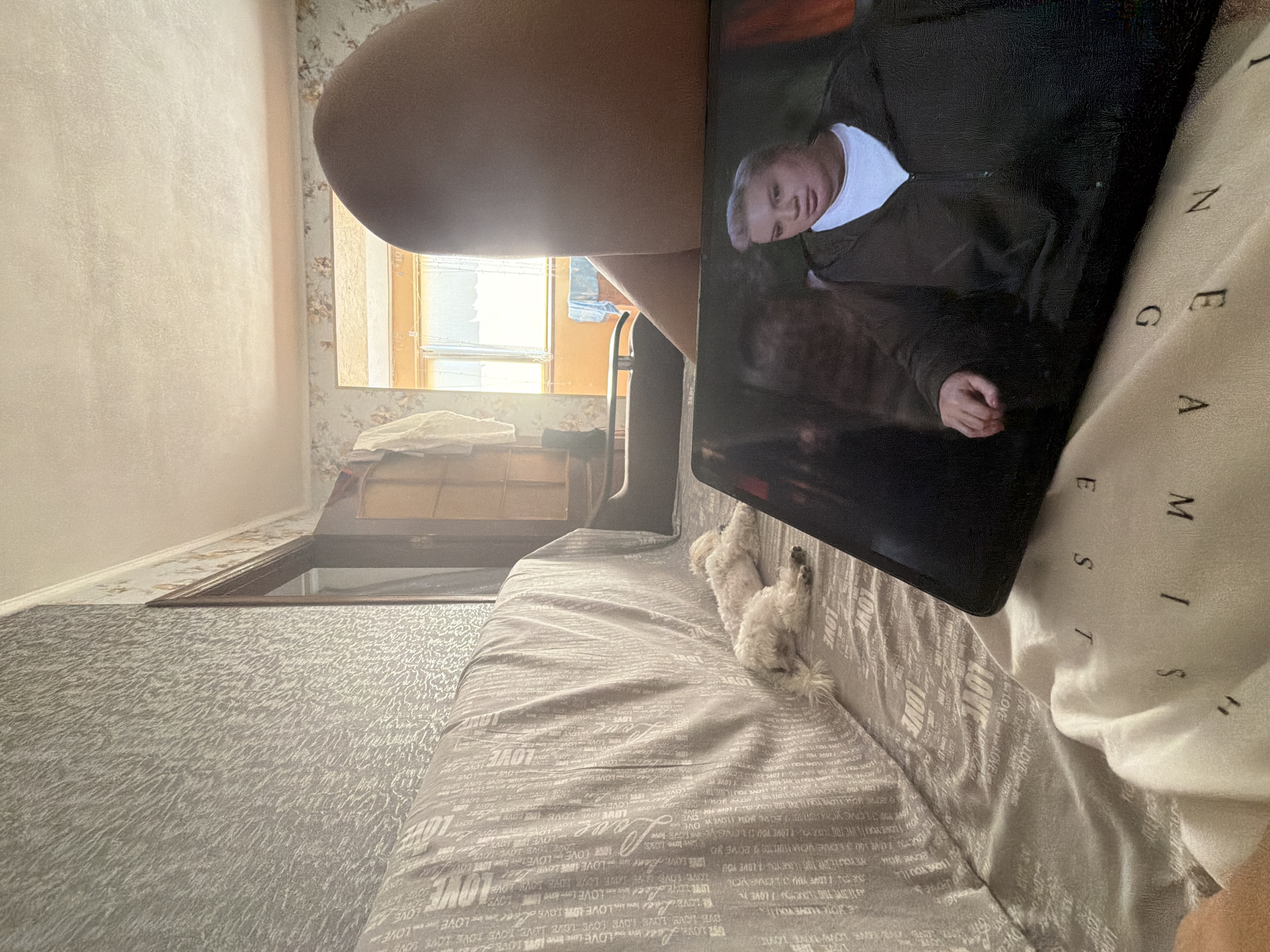 The image depicts an indoor scene with a person's legs visible in the upper right, suggesting they are sitting or reclining. In the foreground, a tablet displays a close-up of a person wearing a dark hooded jacket over a white shirt. Two small white dogs are lying down on a patterned sofa that covers most of the left side of the frame. The background shows a window with sunlight streaming through, illuminating a room that appears to be a living space or bedroom. The overall setting suggests a casual, home environment. There is no specific information visible in the image that indicates the location is in Partenit, Ukraine.