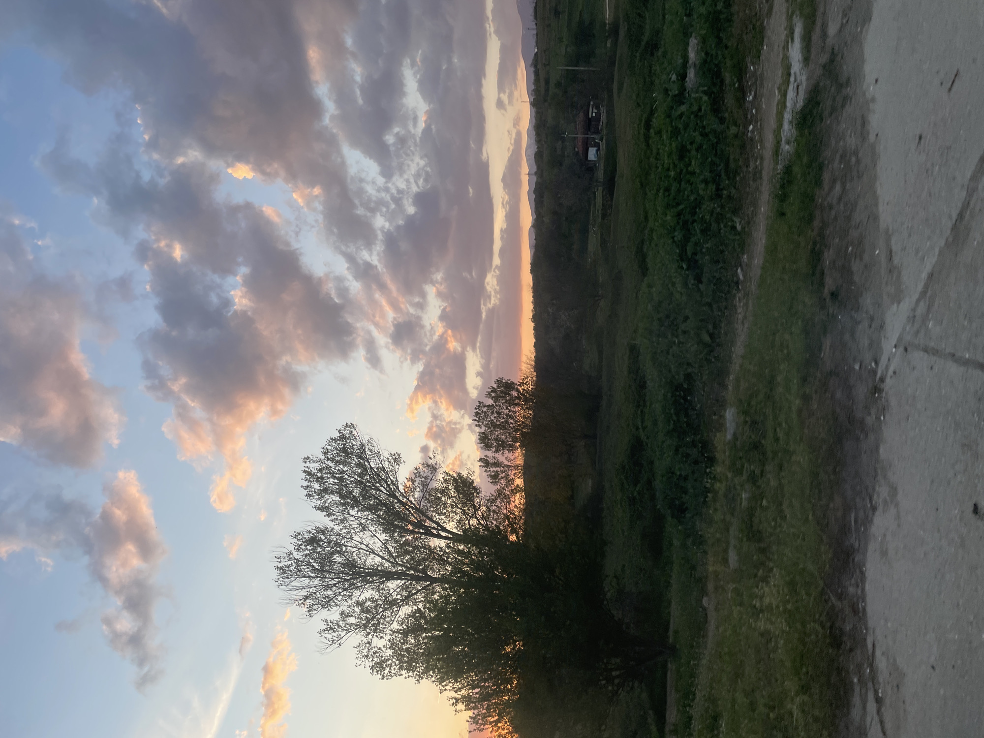 The image shows a rural scene, likely in Domlyan, Bulgaria, at dusk or dawn. The sky is partially filled with clouds, some tinged with pink and orange hues from the setting or rising sun. The lower portion of the image is dominated by vegetation, including trees and grassy areas, next to a partially concrete walkway. A few buildings can be seen in the distance near an elevation of land.