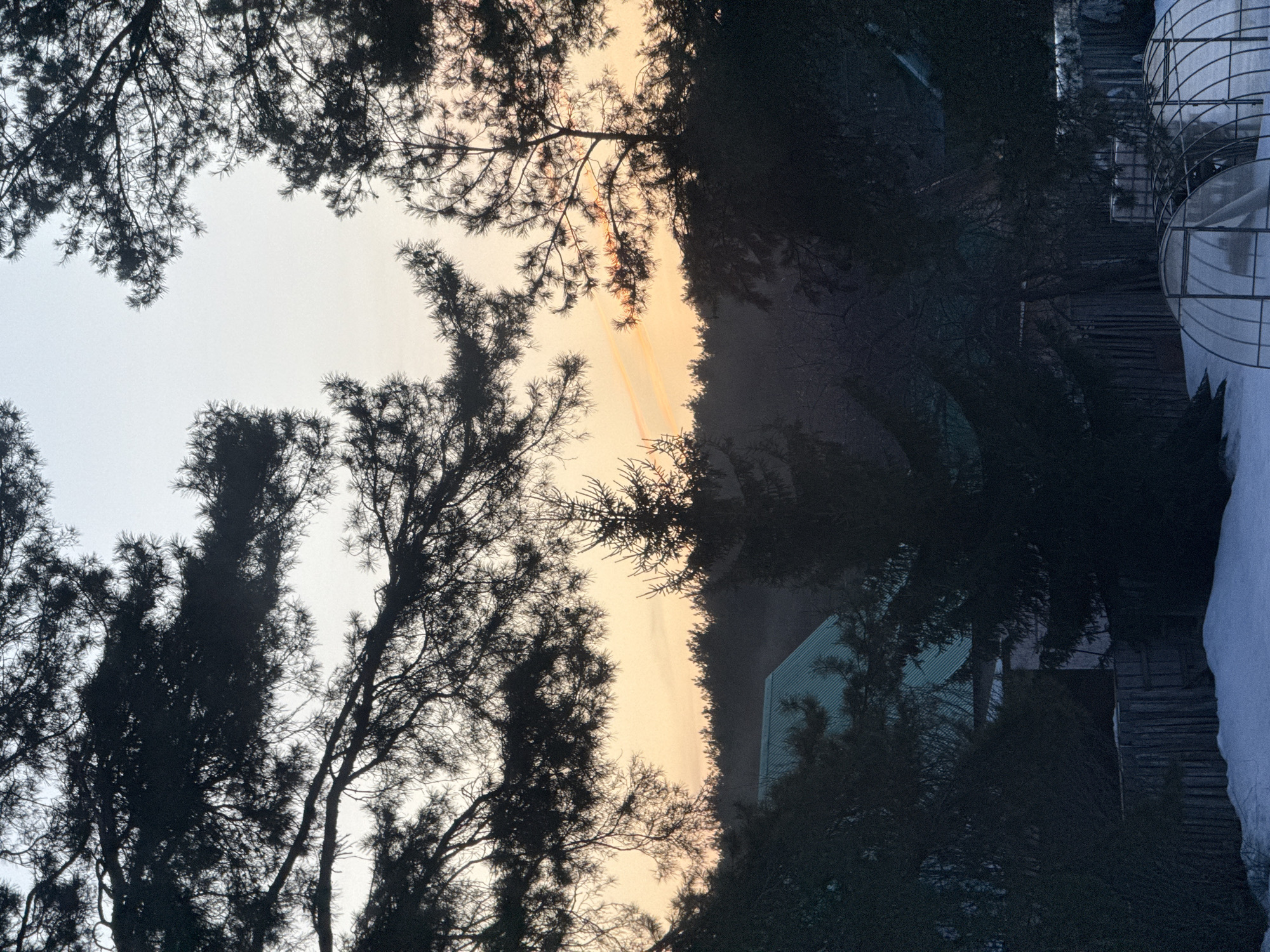 The image, taken from an upward angle, captures a landscape framed by dark, silhouetted trees. The sky is a gradient of pale blue and orange, suggesting either dawn or dusk. Two narrow streaks of orange run through the center.
On the right side of the image, a structure with a white, rounded roof and latticework sides is partially visible, partially covered in snow. Adjacent to this structure, a wooden fence runs vertically down the frame.
Deeper within the scene, a building with a green roof is partially obscured by the trees and mist. The location is Chaikovsky, Russia, based on the context provided. No people are visible. The environment appears to be rural.