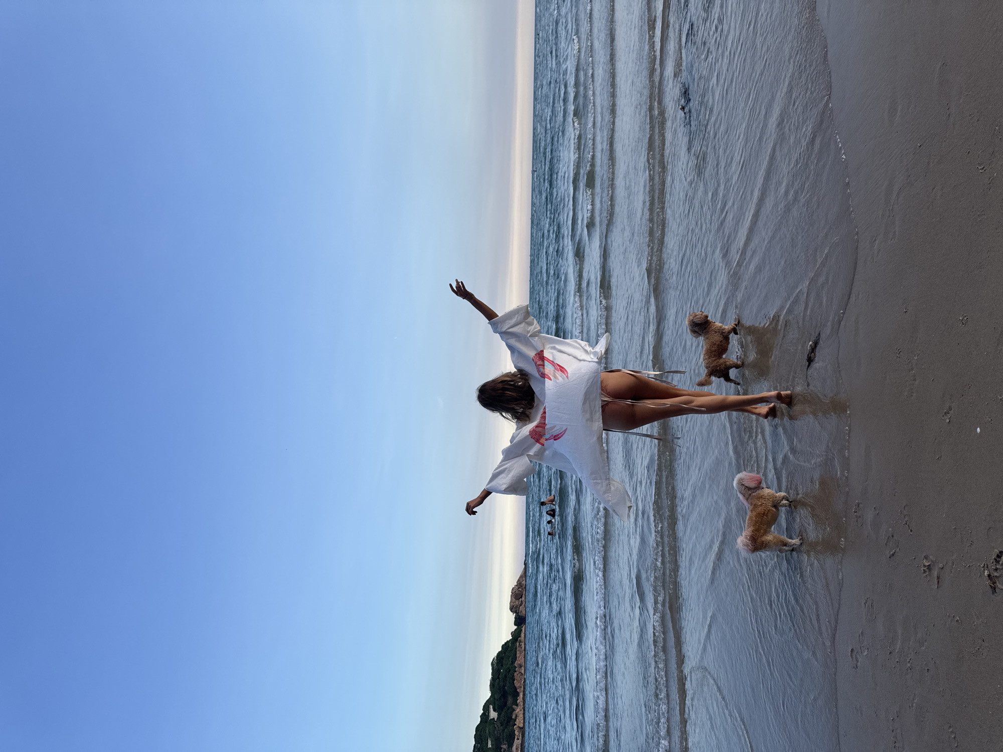 A woman stands facing away from the camera on a sandy beach, her arms outstretched. She is wearing a white, sheer cover-up with a red pattern on the back, and a thong. Two small dogs, one tan and one with pink-dyed fur, stand near her in the shallow water. The ocean stretches out before them under a clear blue sky. In the distance, a rocky island with green vegetation can be seen. The location is the city of Thuận Thành, Vietnam.