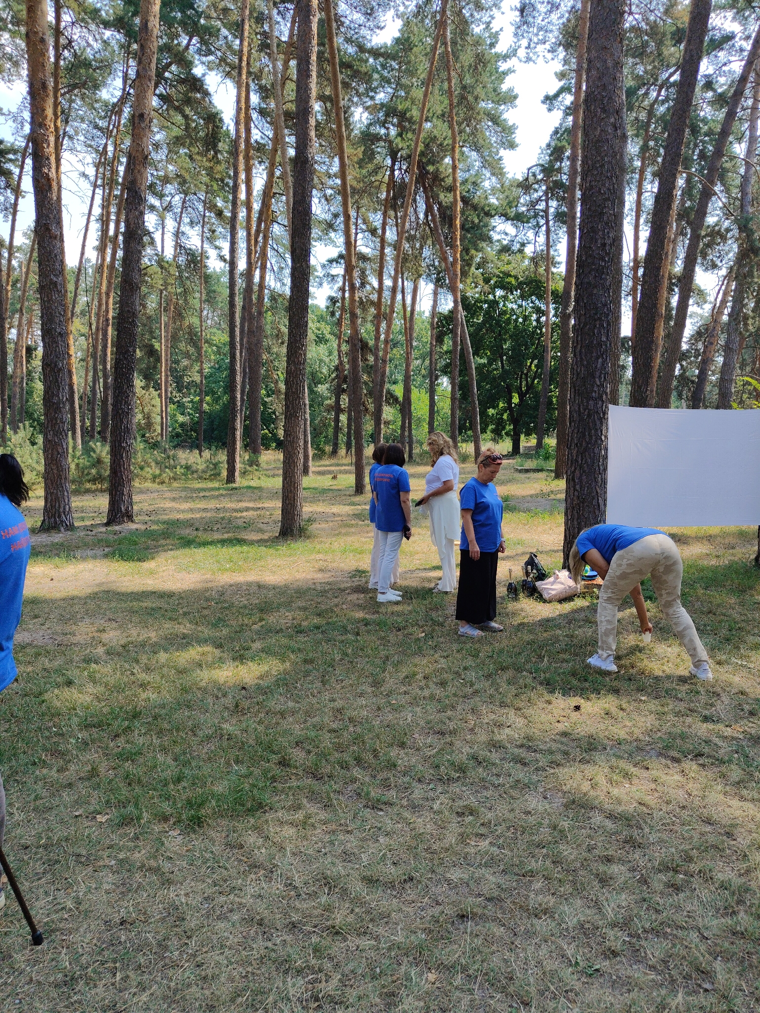 In a sun-dappled pine forest in Cherkasy, Ukraine, a group of people are gathered. A white screen stands to the right, suggesting a potential outdoor event or photoshoot. Five individuals are visible. A person in a blue t-shirt and camouflage pants is bent over near the screen, appearing to pick something up from the ground. To their left, a woman in a blue t-shirt and black pants stands with her head bowed. Further left, three other individuals are grouped together. Two are wearing blue t-shirts and white pants, while the third wears a white top and white pants. The ground is covered in dry grass and pine needles, with scattered fallen pine cones. The trees are tall and slender, with visible bark textures and green foliage forming a canopy above. The overall impression is one of an informal gathering in a natural setting.