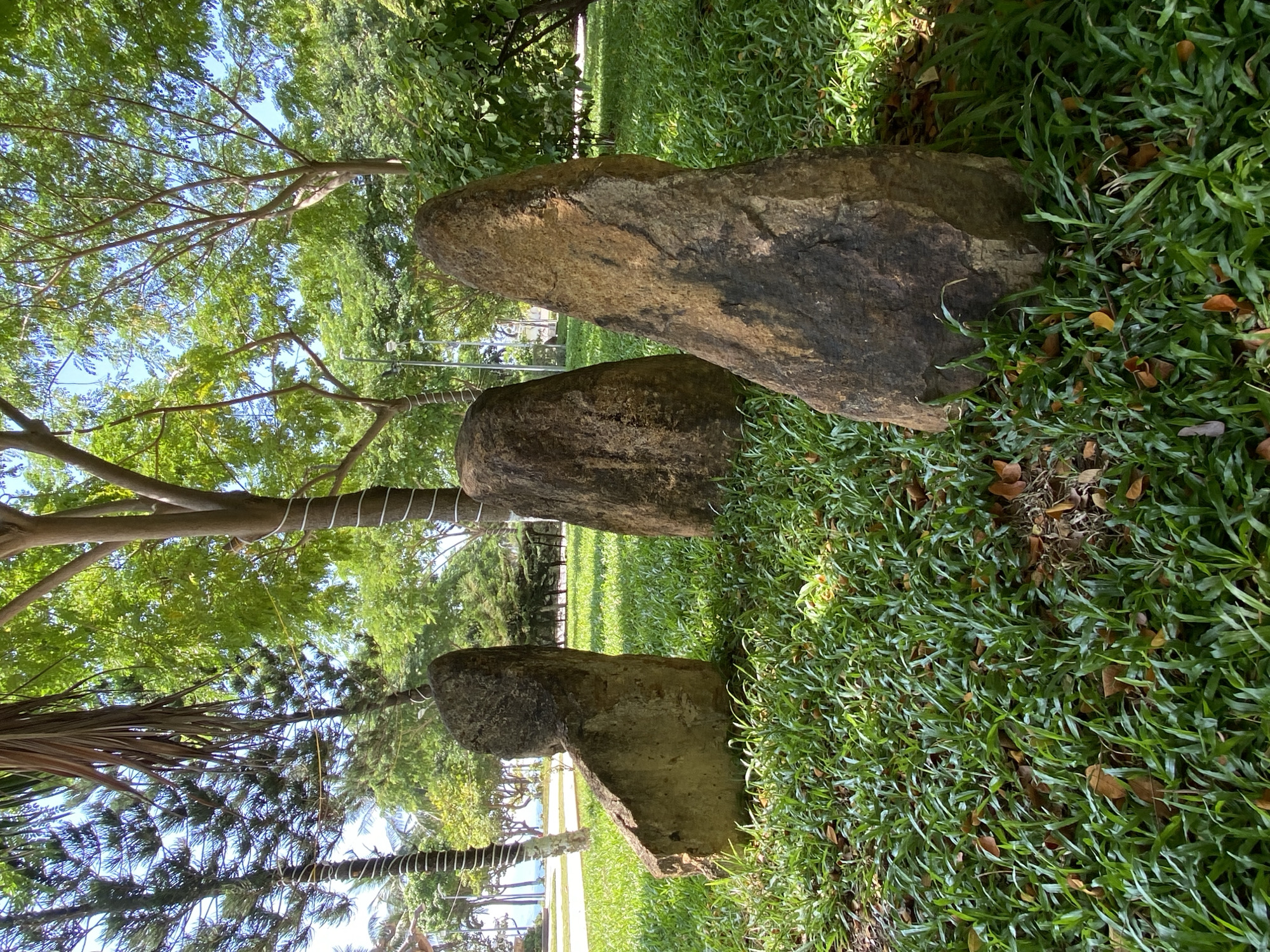 Three large, rough-hewn rocks stand upright in a grassy park area. The rock on the left is angular, with a flat, leaning surface. The middle rock is rounded and somewhat conical. The rock on the right is taller and more pointed, with a textured, dark brown and tan surface. The ground is covered in lush green grass with scattered dry leaves. In the background, mature trees with dense green foliage create a canopy overhead, with glimpses of a bright blue sky. The scene appears to be in a park or garden setting, possibly near a body of water given the light visible in the far background, which suggests a coastline. The overall atmosphere is tranquil and natural. The image captures the natural beauty of the park, with the rocks adding an element of sculptural artistry to the landscape.