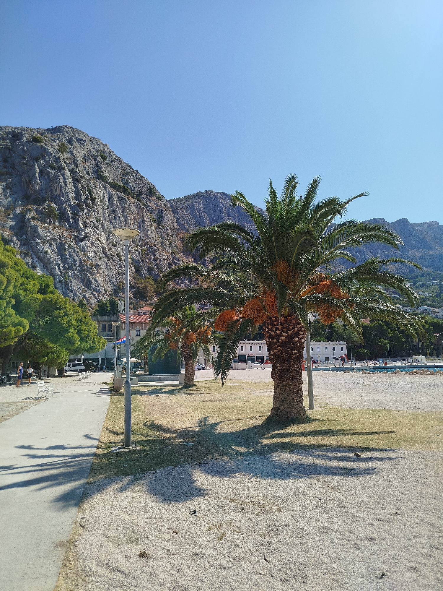 A sunny day scene shows a promenade alongside a beach and a rocky mountain. Two palm trees stand in the foreground, with one larger and bearing fruit. A paved walkway runs diagonally across the image, leading to a grassy area with more trees and a few people. In the background, buildings and the beach are visible, with the imposing mountain range dominating the horizon. The sky is clear and blue.