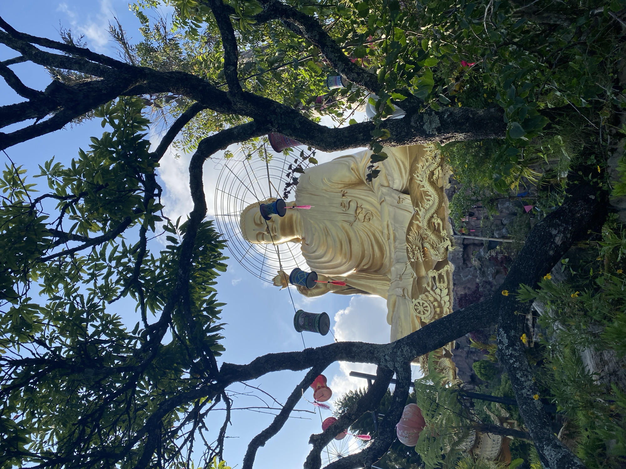 The image depicts a large, golden Buddha statue situated in a garden setting. The statue is seated and appears to be made of metal, with intricate details such as robes and decorative elements. In the foreground, several trees with dark branches and green leaves partially obscure the view of the statue. Hanging from the branches are various lanterns and cylindrical ornaments, some with pink tassels. The background shows a wireframe structure behind the Buddha's head and a bright blue sky with scattered clouds. The garden area around the base of the statue is rocky and features lush greenery, including ferns and small yellow flowers. The overall scene suggests a place of worship or a tourist attraction within a natural environment. The location is identified as Lâm Viên - Đà Lạt, Vietnam, a region known for its natural beauty and Buddhist sites.