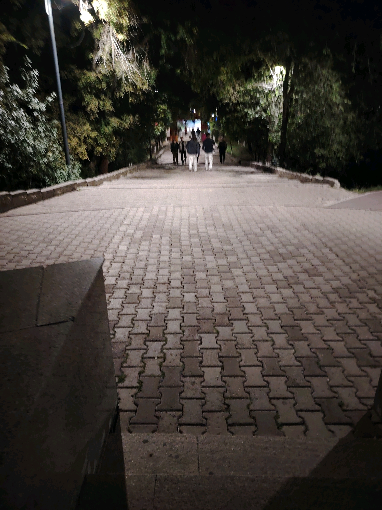 The image shows a downward-sloping paved walkway at night, lined with trees and foliage on both sides. Several people, appearing to be walking away from the camera and towards the bottom of the frame, are visible on the walkway. A lamppost is present on the left side of the frame, illuminating parts of the walkway and trees. The walkway is constructed of interlocking grey pavers. The overall scene suggests a public park or promenade area.
