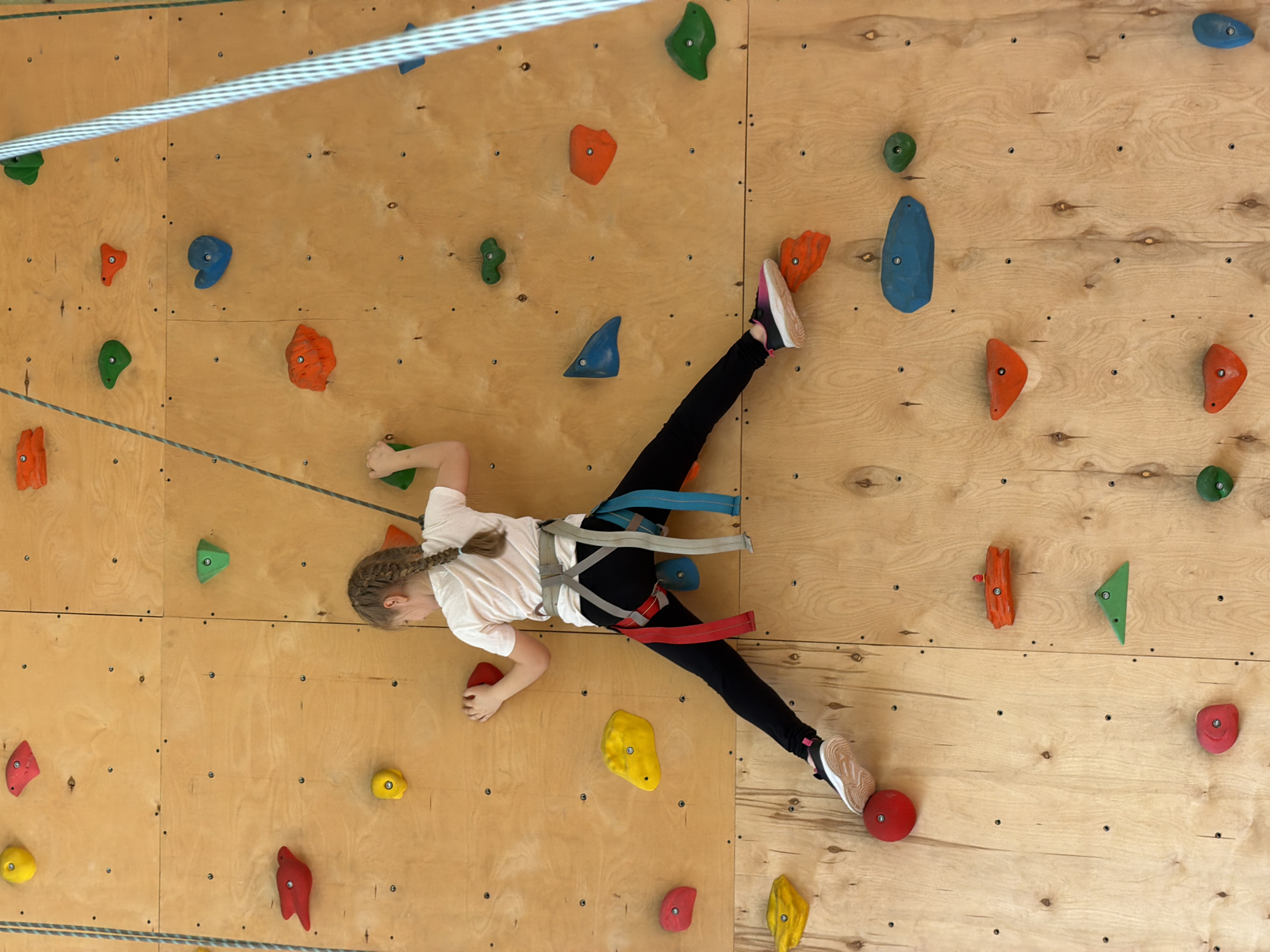 This image depicts a young individual engaged in indoor rock climbing on a wooden climbing wall, likely within a gym or recreation center in Izhevsk, Russia. The subject is a child or pre-teen with light brown hair styled in a braid, wearing a white t-shirt, black leggings, and athletic shoes with pink and black accents. They are equipped with a climbing harness featuring gray, blue, and red straps.
The climber is positioned dynamically across the wall, stretching to reach different holds. Their right foot is planted firmly on a red, spherical hold, while their left foot rests on a larger yellow hold lower down. Both hands are actively gripping holds: the left hand holds a red, elongated hold, and the right hand is grasping a green, angular hold higher on the wall. The posture conveys concentration and effort as they ascend.
The climbing wall is made of light-toned plywood panels, dotted with numerous bolt holes and an array of colorful climbing holds. These holds come in various shapes and sizes, colored red, orange, green, blue, and yellow. A thick, braided metal cable is visible horizontally across the upper part of the frame and diagonally across the lower section, indicating a safety or belaying system. The scene is brightly lit, suggesting an indoor environment during the day. No visible text is present in the image.