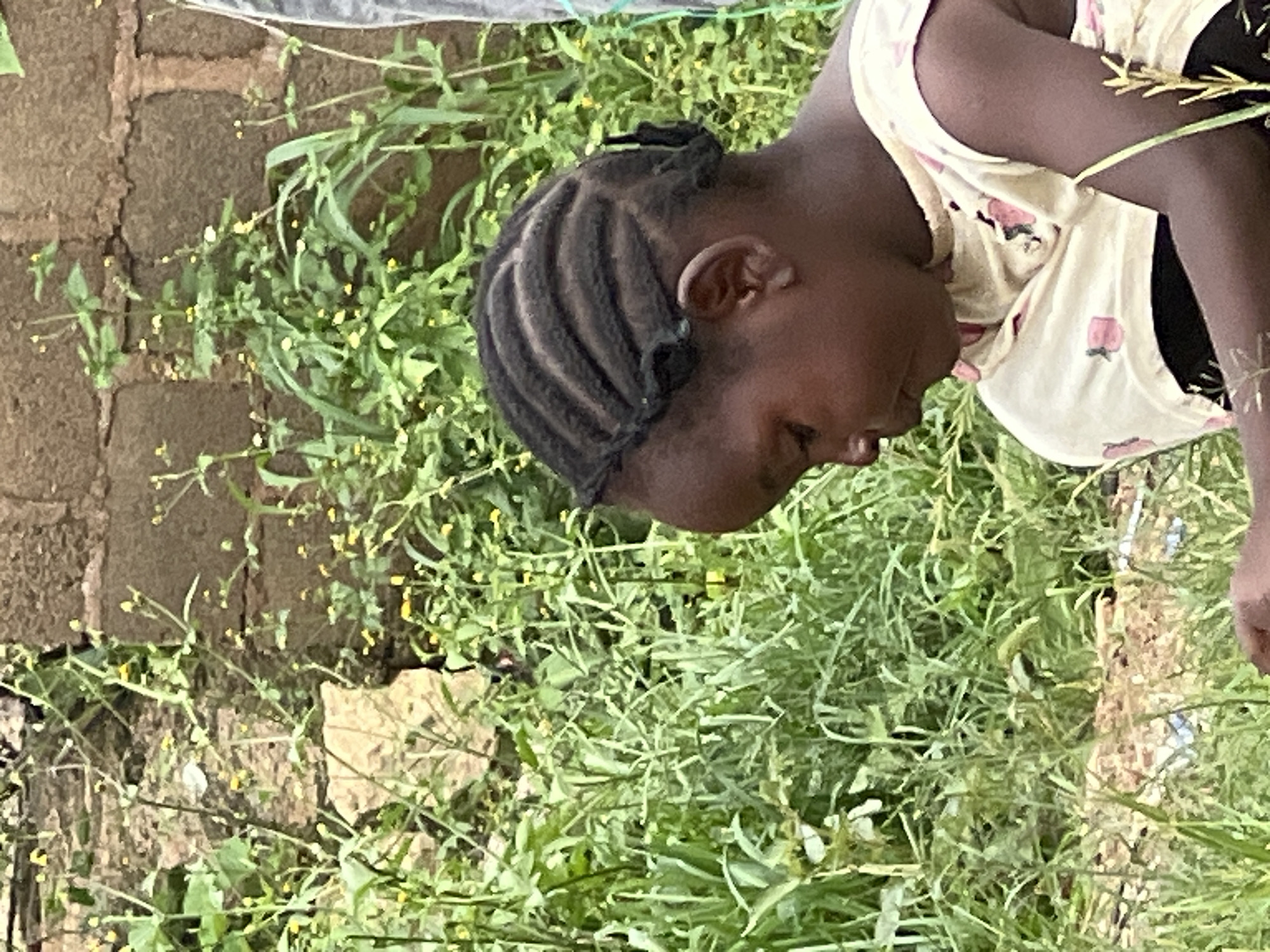 This image captures a side profile of a young Black girl with braided hair, sitting in a lush, overgrown environment likely in Jos, Nigeria. She is wearing a light-colored dress with pink fruit patterns. Her head is bowed, and she appears to be looking down at something. Behind her, a brick wall is visible, interspersed with dense green foliage and small yellow flowers. The ground appears to be covered in dry leaves and debris. The overall scene suggests an outdoor setting with abundant vegetation.