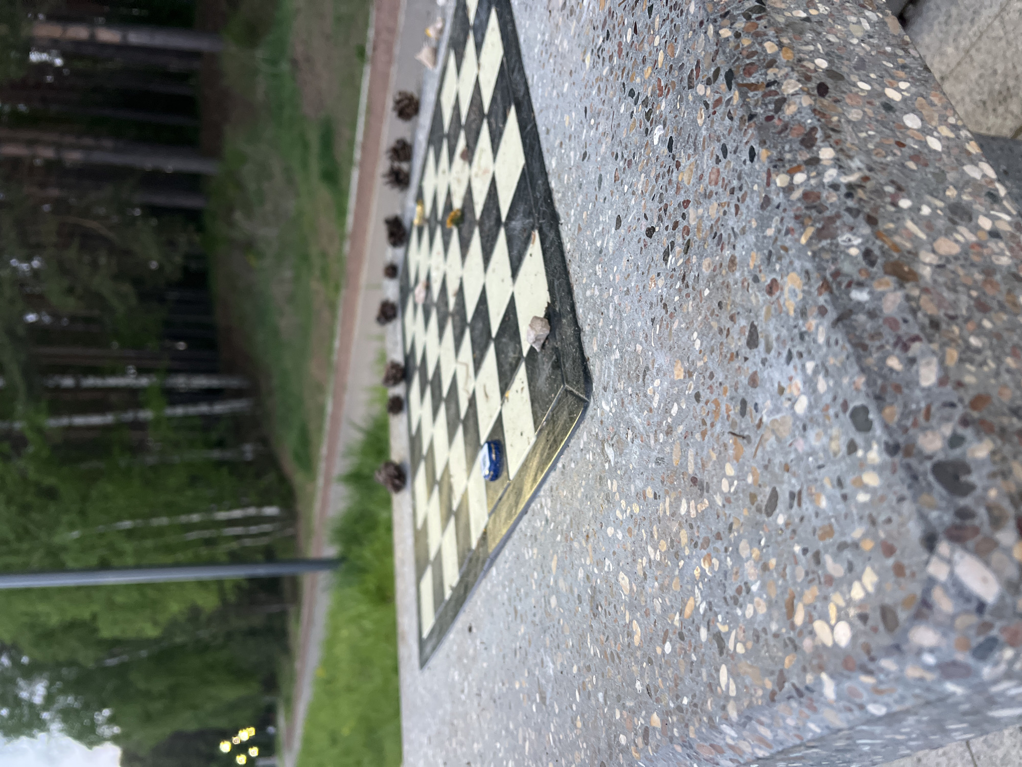 The image shows a chess table in a park-like setting. The table has a built-in chessboard with alternating black and white squares. Several pine cones are placed along one edge of the chessboard, seemingly used as makeshift chess pieces. A small, blue object is also present on the board. The table itself is made of a speckled material, possibly concrete or terrazzo. In the background, there are trees and a paved path, suggesting a park or recreational area. Based on the prompt information, this location is likely in the city of Chaikovsky, Russia. There are no people visible in the image. The scene depicts a tranquil outdoor setting with an implied game of chess being played with unconventional pieces.
