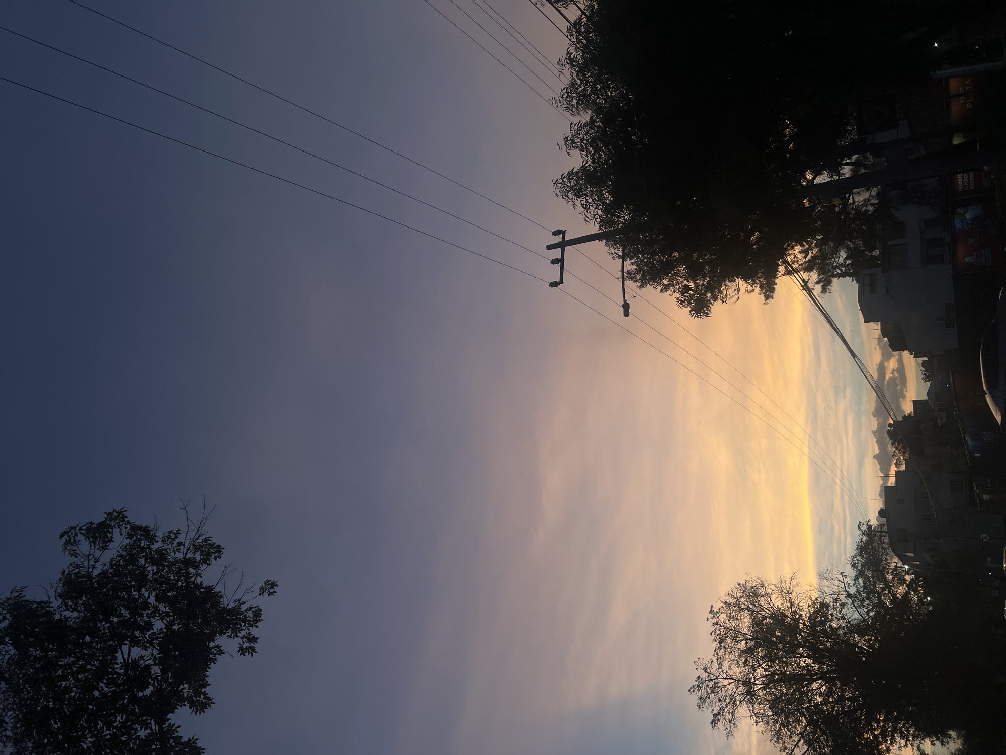 The image presents a view of the sky in Mexico City, Mexico, situated between silhouetted trees and buildings. The sky is divided into two color gradients: a deep blue-purple on the left and a bright yellow-orange on the right, likely indicating sunset or sunrise. Overhead power lines stretch across the sky, connected to a pole with electrical equipment. Buildings are visible on the right, obscured by darkness and foliage. The trees are dark silhouettes, framing the sky and adding depth to the image.