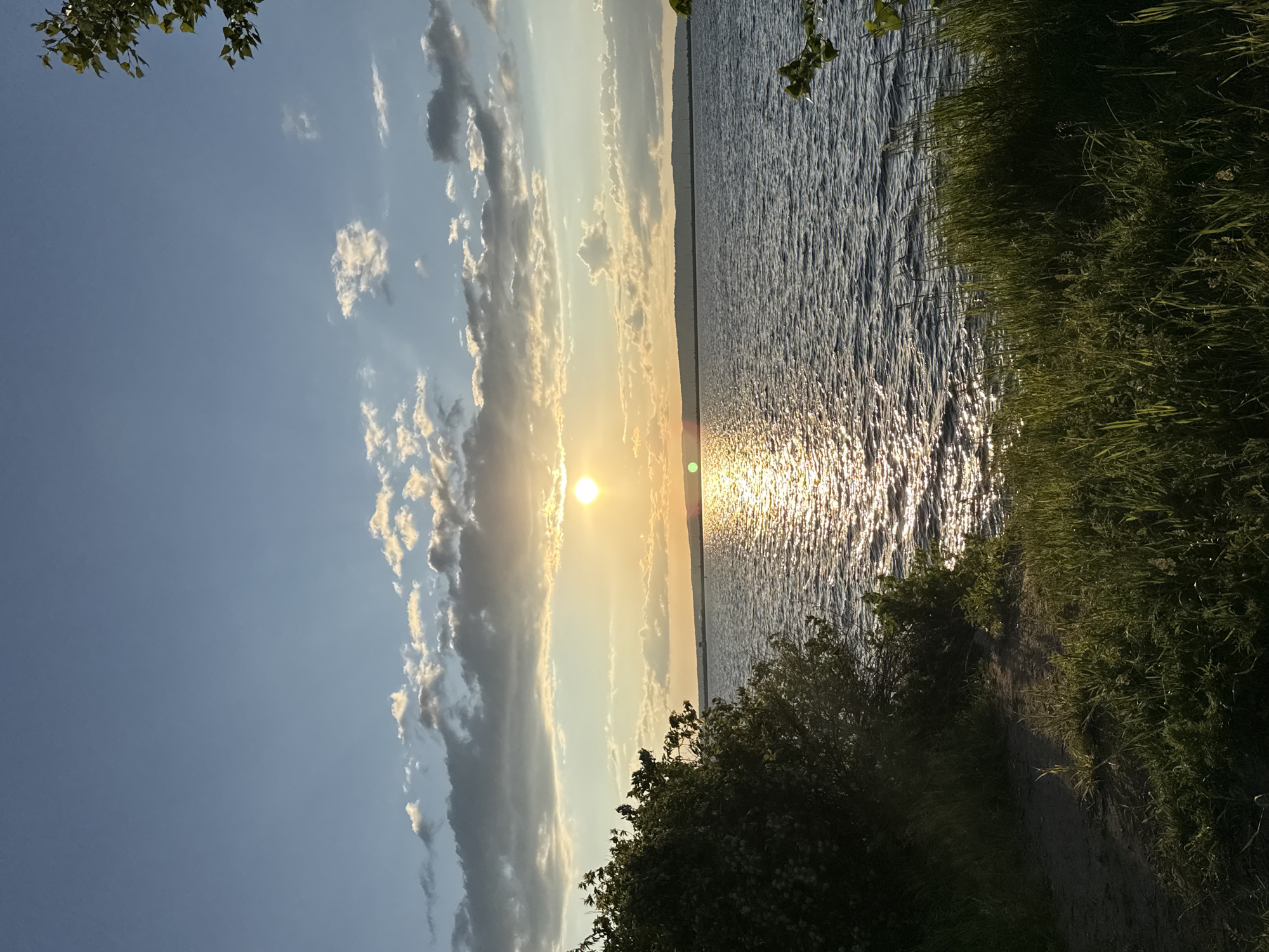 The image captures a tranquil sunset over a body of water, likely a reservoir given the location. The sun, a bright orb, is positioned slightly left of center in the upper half of the frame, casting a shimmering reflection across the rippling surface of the water. The sky is a clear blue, dotted with scattered clouds that are tinged with the warm hues of the setting sun.
In the foreground, lush green grass and foliage line the edge of the water, with a hint of a sandy path leading towards the shore on the left. A dense bush with dark green leaves occupies the left side of the image, providing a natural frame. On the right side of the image, a distant, tree-lined horizon can be seen, with a faint outline of structures possibly indicating a town or industrial area. The overall impression is one of peaceful natural beauty at the close of day, with the golden light of the sun creating a serene atmosphere. The scene is devoid of any people or animals.