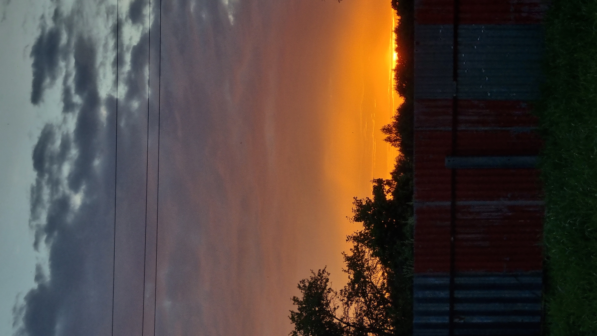 The image captures a rural sunset scene in Vysokoe, Russia. The sky is dominated by a gradient of colors, transitioning from a pale blue at the top to a vibrant orange near the horizon. Dark, textured clouds are scattered across the upper portion of the sky, while thinner, wispy clouds are visible lower down. Three dark, thin power lines stretch horizontally across the frame, dividing the sky. Below the sky, a silhouetted line of trees forms a dark border against the bright orange sunset. In the foreground, a corrugated metal fence runs horizontally, with sections appearing rusted red and others a weathered grey. The fence is partially obscured by dark green grass growing in front of it. The scene is devoid of human presence and any discernible activity. The lighting suggests it is either dawn or dusk.