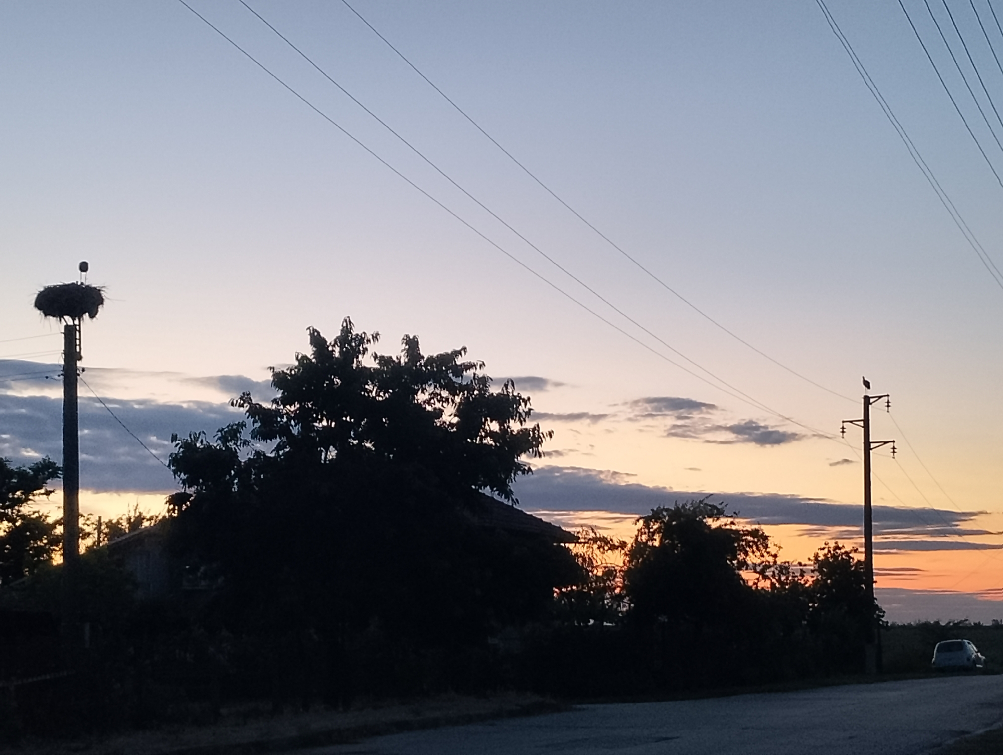 In the city of Unknown, Unknown, a twilight scene unfolds with a silhouette of trees and a roofline obscuring the lower half of the image. A prominent utility pole stands on the left, topped with a large nest, likely for storks, and a small, dark bird is perched atop another utility pole on the right. Power lines crisscross the pale blue and orange sky, with wisps of clouds adding texture. The road in the foreground is dark, and a silver car is parked on the right shoulder. The lighting suggests either dawn or dusk.