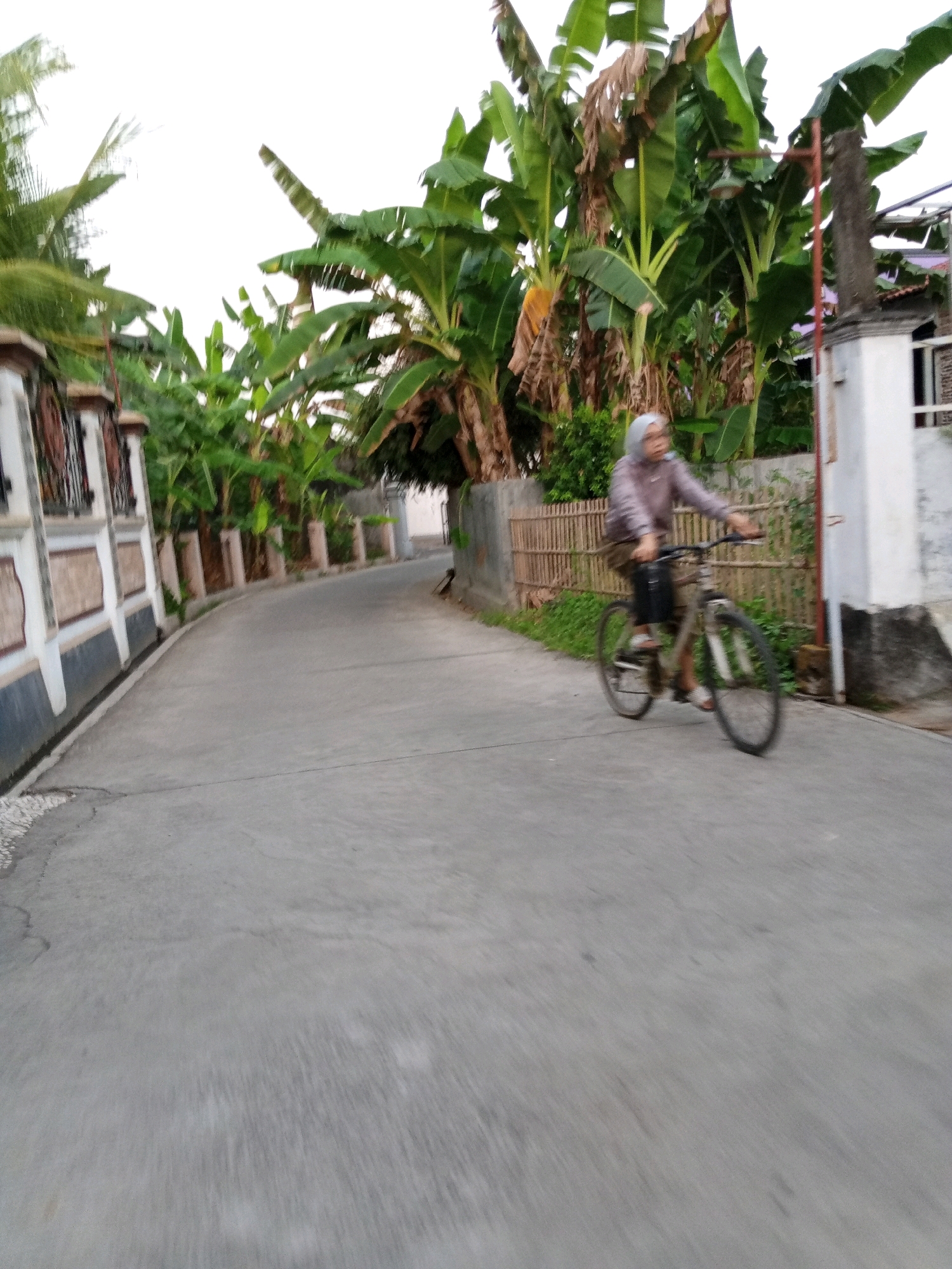 In Bendosari, Indonesia, a person wearing a headscarf and a light-colored top is riding a bicycle on a paved road. The person is in motion, indicated by motion blur. The road is surrounded by lush greenery, including banana trees and other tropical vegetation. A bamboo fence runs along the side of the road, separating it from the vegetation. A concrete wall with decorative elements is visible on the left side of the road, and a white building is on the right. The sky is overcast.