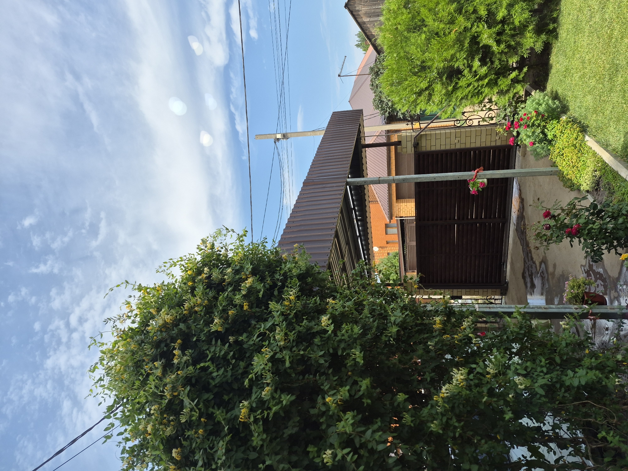 The image shows a residential area on a cloudy day. In the foreground, a large, green bush with yellow flowers dominates the left side of the frame. A portion of a brown metal canopy is visible extending from the right side of the image. Behind the canopy, a dark brown metal gate is set in a brick wall. A tall, gray utility pole with multiple wires runs vertically through the scene. In the middle ground, a brick house with a brown roof and orange brick walls can be seen. To the right, a vibrant green evergreen bush borders a neatly mown green lawn. A few red roses are planted in a flowerbed along the edge of the lawn. The sky is blue with scattered white clouds. The scene depicts a private yard or garden area, likely in a suburban or rural setting. The location is specified as Astrakhan, Russia. There are no people or animals visible in the image.