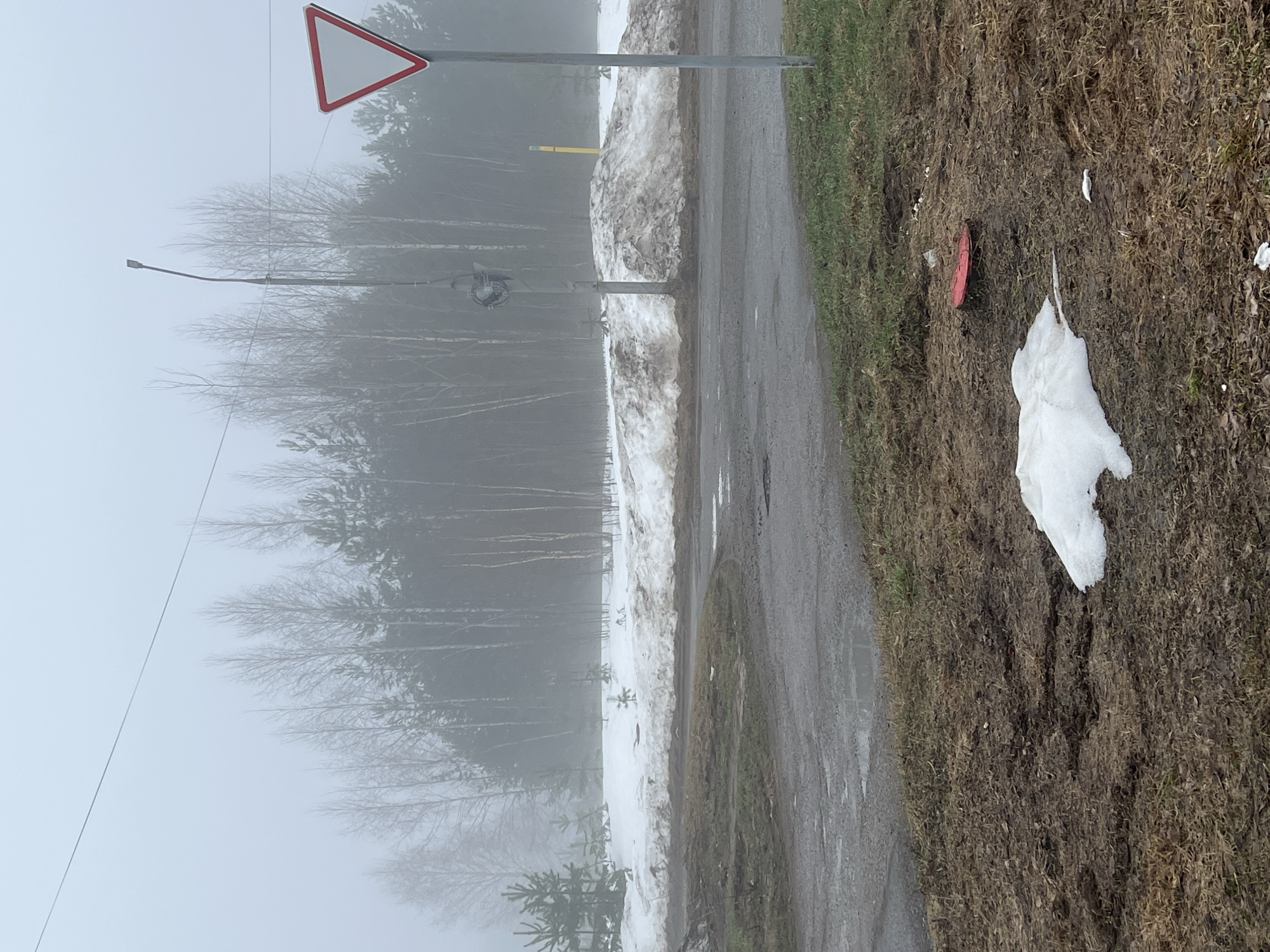 The image shows a roadside scene in Марковский, Russia on a foggy day. A narrow asphalt road runs through the scene, bordered on one side by a snowbank and a row of trees shrouded in fog. On the other side of the road, the ground is covered in dry grass and scattered debris including a red object and a piece of white material. A yield sign is visible in the background, along with a streetlamp and utility pole. The overall impression is one of a quiet, rural setting on a dreary day.