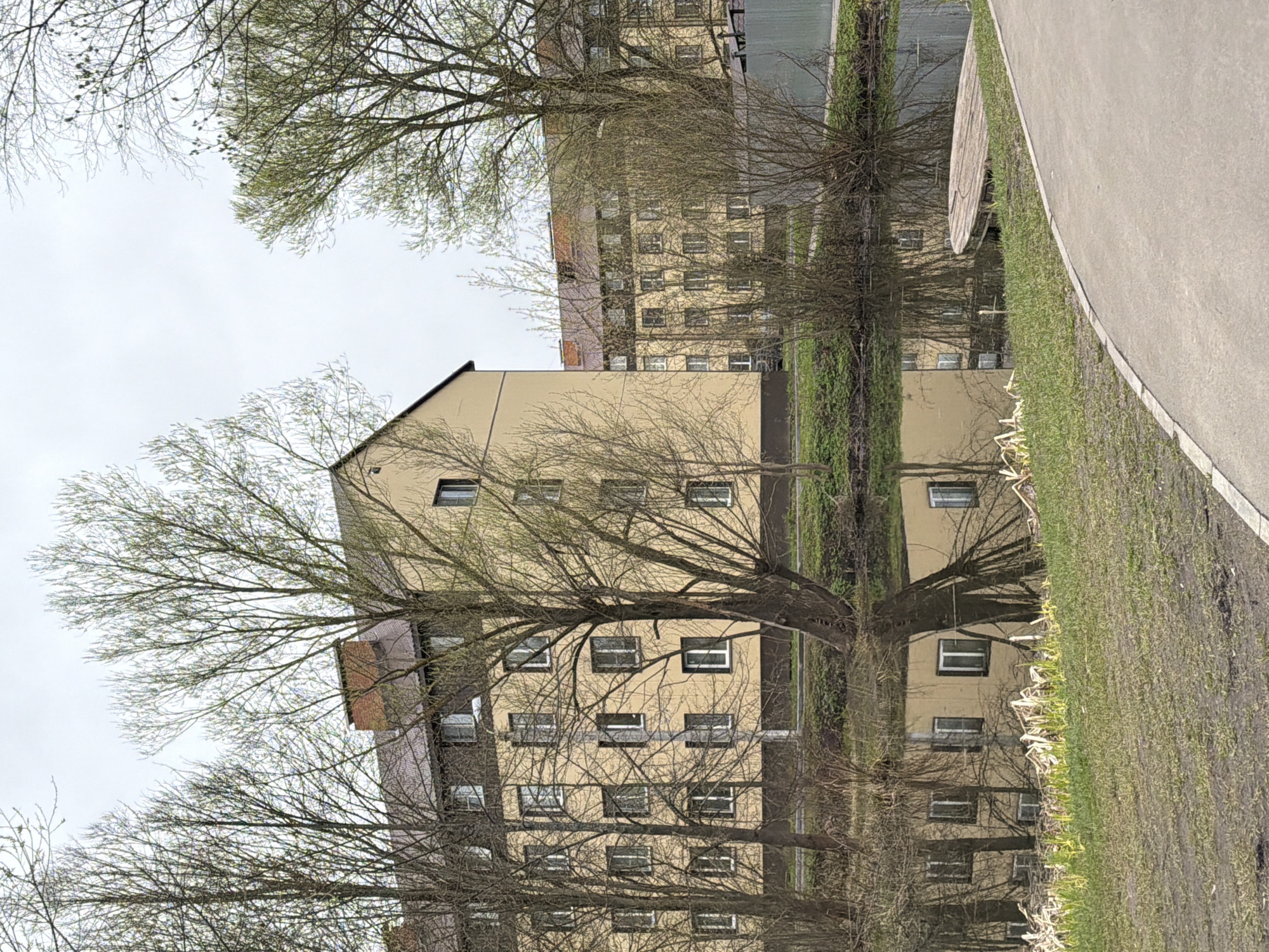 The image shows a residential building in Reshetnikovo, Russia. The building is beige and has multiple floors with evenly spaced windows. Bare trees with budding leaves stand in front of the building, partially obscuring the facade. A grassy area with a concrete walkway is visible in the foreground, suggesting a park or residential area. The sky is overcast, indicating a cloudy day.
