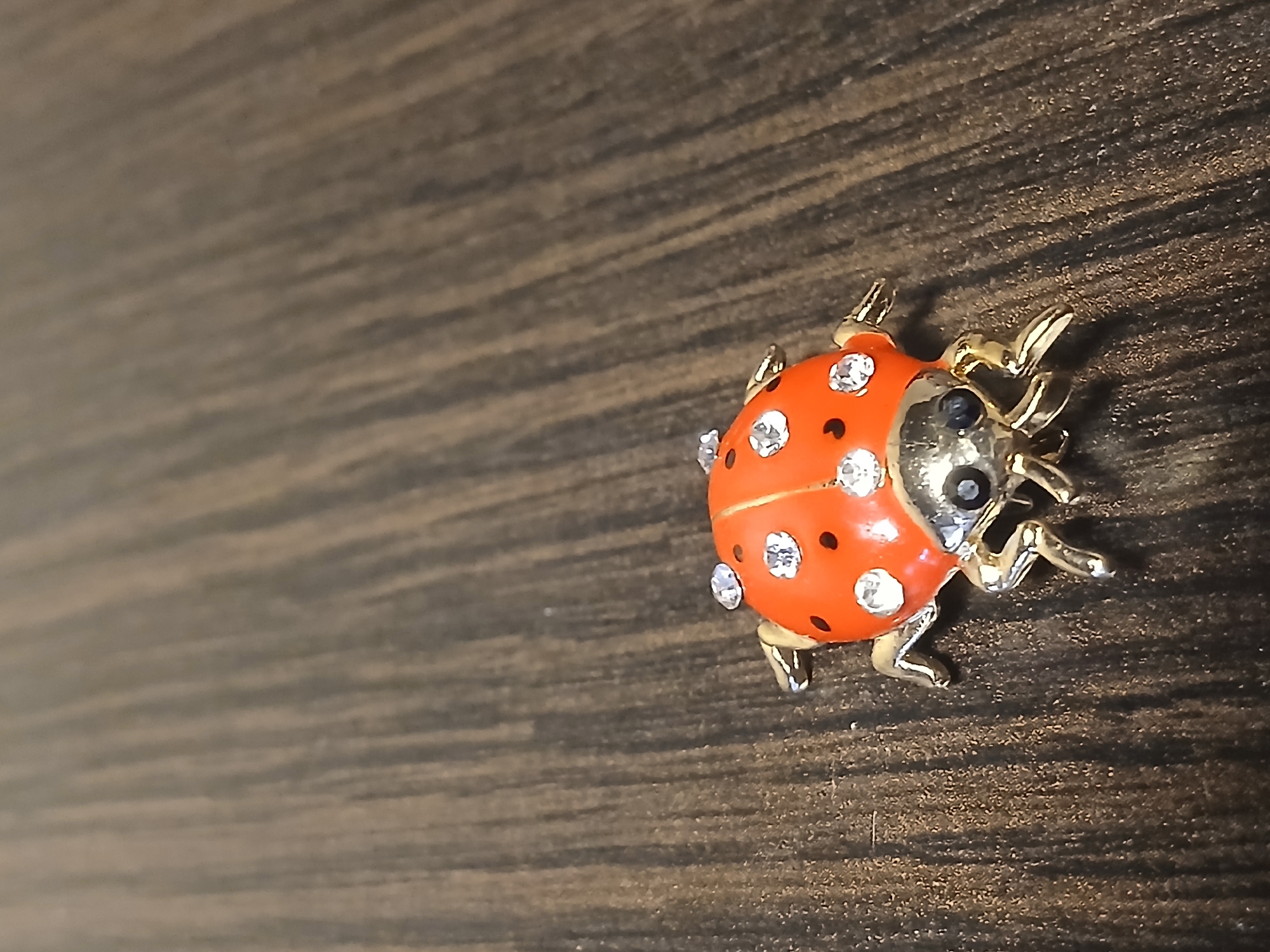 A close-up photograph shows a decorative ladybug brooch resting on a dark, wood-grain surface. The brooch is orange with black spots, and clear stones are embedded on its back. Its head and legs are metallic gold. The object is not located in Kamianske, Ukraine, as context about the location was not requested.