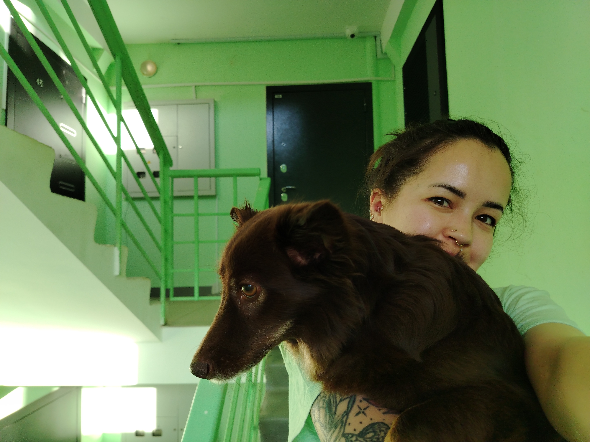 The image depicts a woman holding a medium-sized, brown dog in her arms. She is smiling and looking towards the viewer. The dog is looking to the left. The woman has dark hair pulled back, multiple piercings on her ear, and a nose ring. A tattoo is visible on her arm.
The background is a stairwell area painted in shades of green. A green metal staircase is visible on the left side. A black door is in the background with a small white panel to the left of the door. Above the door is a small, white security camera. The location is Noviy, Russia.
