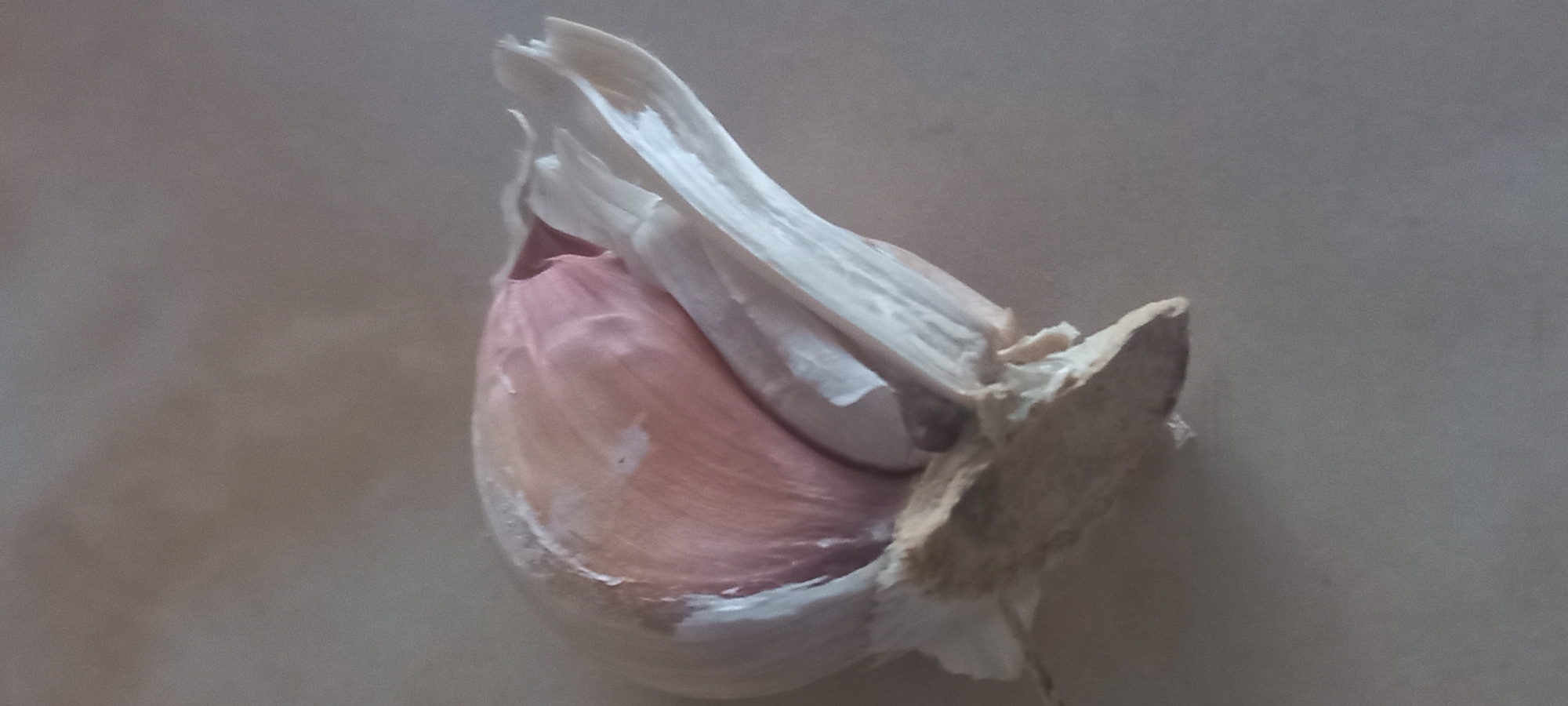 A close-up shot shows a single clove of garlic, partially peeled. The clove has a pinkish-purple hue and is surrounded by white, papery layers. A tan, slightly broken section of the outer bulb remains attached. The clove rests on a smooth, light-colored surface. The location of Kryvyi Rih, Ukraine is unknown.