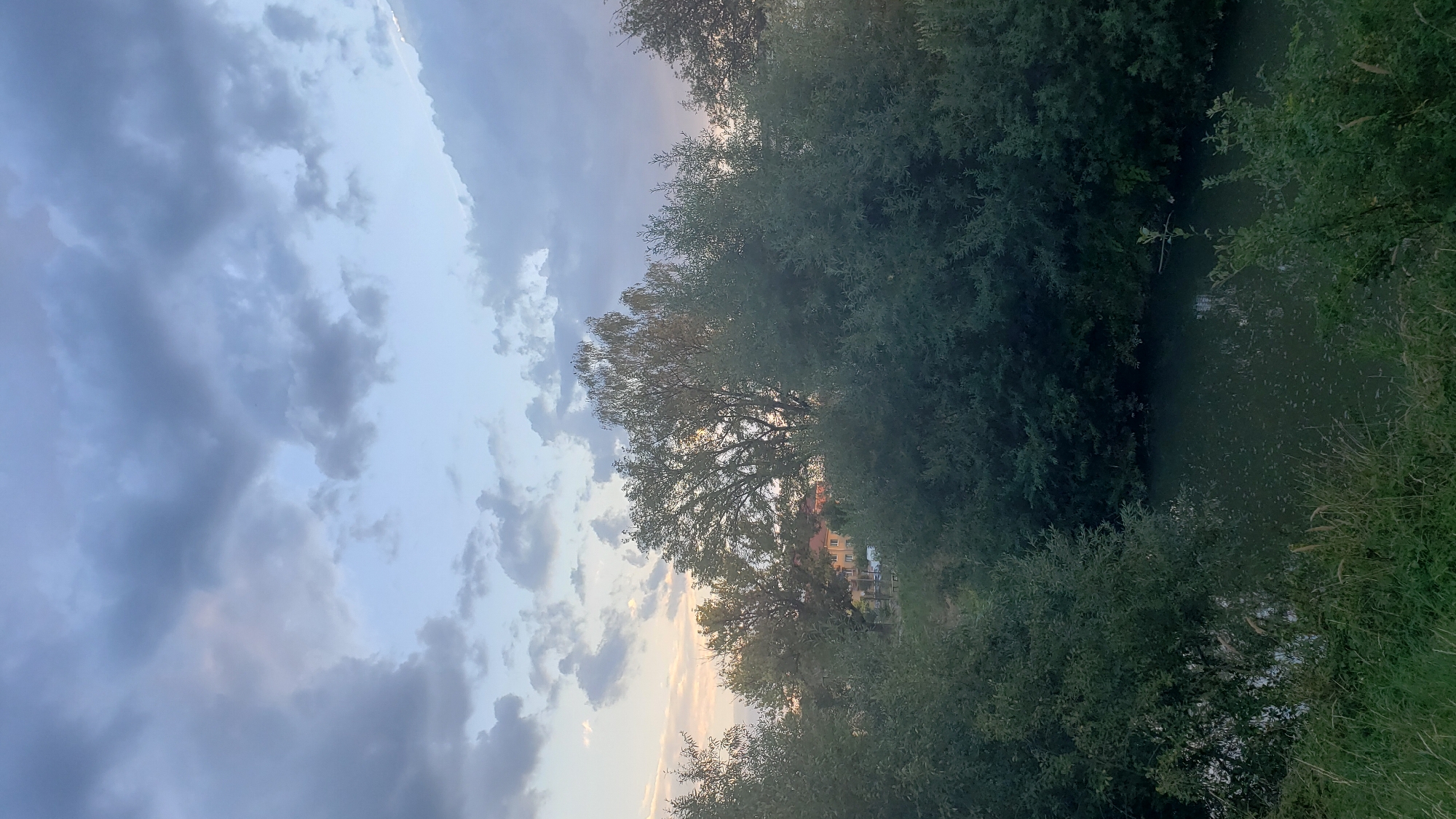 The image depicts a serene natural landscape, possibly near a body of water, with dense vegetation dominating the foreground and midground. A calm, dark green river or canal flows through the lower part of the scene, bordered by lush foliage and tall grass. A cluster of trees, varying in height and density, forms a natural screen across the midground, with some taller trees reaching towards the sky. In the distance, through a gap in the trees, a residential building with a red roof is partially visible. The sky above is a mix of soft blue and grey clouds, suggesting it might be late afternoon or early evening, with subtle hues of pink and orange indicating potential sunset light filtering through. The overall impression is one of tranquility and rural or semi-rural scenery, potentially on the outskirts of a city like Prešov, Slovakia, given the hints provided. There are no people or specific actions depicted, focusing solely on the environmental elements.