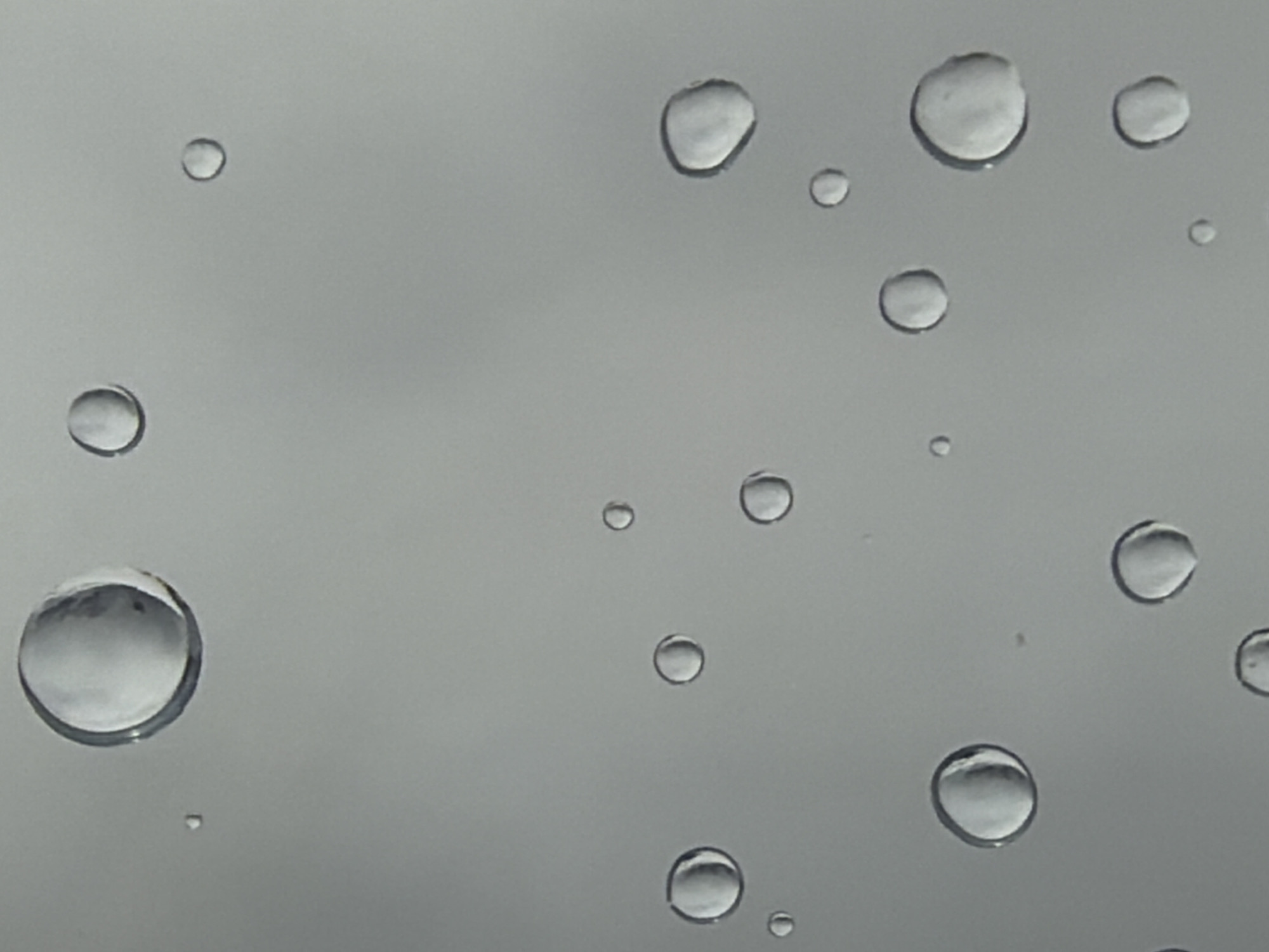 The image presents a close-up, high-angle view of numerous water droplets of varying sizes adhering to a transparent surface, likely a pane of glass. The droplets, some perfectly spherical and others slightly irregular, exhibit subtle internal reflections and refractions, highlighting their clear, liquid nature. Each droplet casts a soft shadow or creates a slight distortion of the background behind it.
The background is a uniform, soft grey tone, suggesting an overcast sky or a diffused light source, indicating either a rainy day or very humid conditions. No specific objects, landscapes, or structures are visible beyond the glass, creating an abstract and minimalist composition focused solely on the patterns of moisture. The scene appears to be set during the daytime, given the general lightness, but the absence of direct sunlight points to a cloudy day.
There is no activity or event depicted beyond the presence of moisture on the surface. No people or specific objects are identifiable. The image conveys a sense of quiet observation, perhaps from indoors looking out. While the image itself does not contain specific location cues, it is situated in Garmisch-Partenkirchen, Germany, suggesting typical rainy or cloudy weather conditions for the region. No text is visible in the media file.