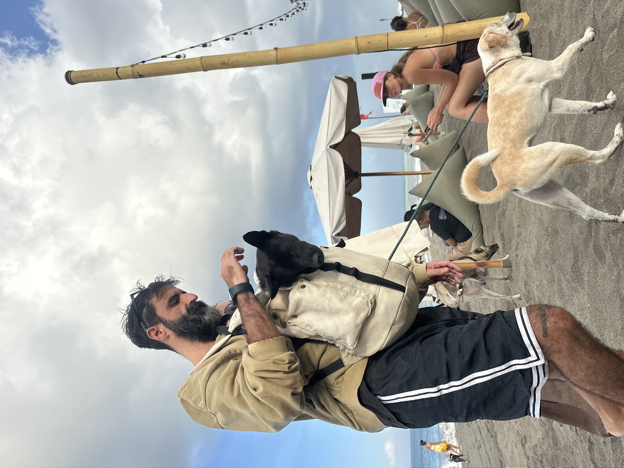A man with a beard and sunglasses perched on his head carries a black dog in a beige sling bag across his chest. He wears a tan hoodie and black shorts with white stripes. The man is standing on a dark sand beach. To his right, a light-colored dog on a leash walks away from the camera. In the background, several people are seated on beanbag chairs under umbrellas. A tall bamboo pole with string lights runs vertically on the right side of the image. The sky is cloudy. The scene appears to be at a beach club or resort in North Kuta, Indonesia.