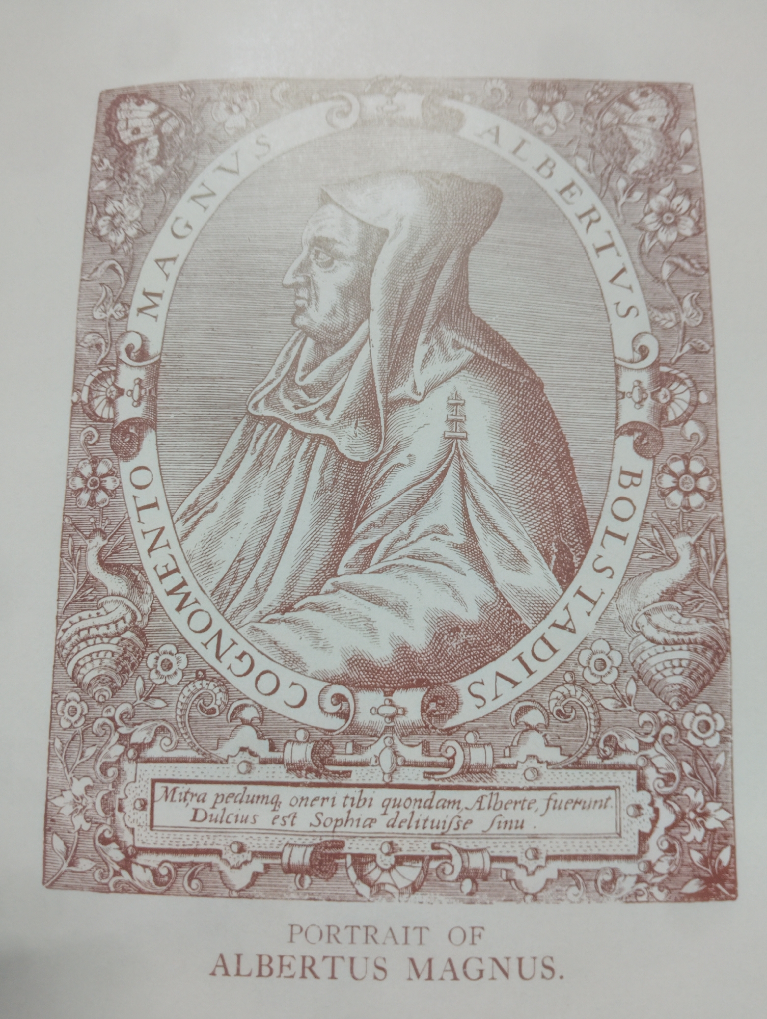 The image is a sepia-toned engraving of Albertus Magnus, a 13th-century German Dominican friar, bishop, and Doctor of the Church. He is depicted in profile, wearing a hooded robe. The engraving is framed by an ornamental border featuring floral motifs and what appear to be small, decorative animals, possibly snails. Inscribed around the portrait in a circular banner are Latin phrases. Below the portrait, a rectangular inscription reads "Mitra pedumq, oneri tibi quondam Alberte, fuerunt. Dulcius est Sophia 'delituisse finu." Finally, below this inscription, the title reads "PORTRAIT OF ALBERTUS MAGNUS." The image does not contain any information or visual elements that indicate a location in Alagbado, Nigeria.