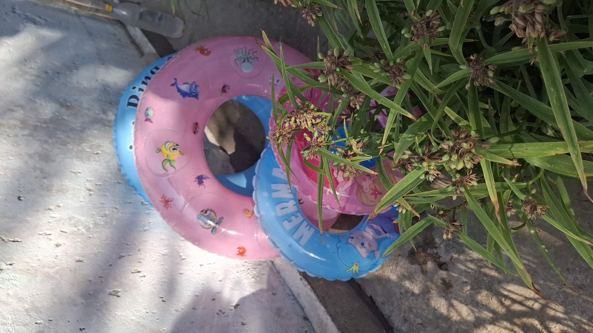 In Шұбарсу, Kazakhstan, three inflatable swim rings are stacked on a concrete surface. The top two rings are visible, one pink and one blue, both decorated with aquatic-themed cartoon characters and patterns. A third, partially obscured pink ring lies beneath them. Lush green foliage with seed pods partially covers the swim rings and the surrounding concrete. The scene is illuminated by natural sunlight, casting shadows from the foliage and nearby wall onto the concrete. A plastic bottle is visible in the background.