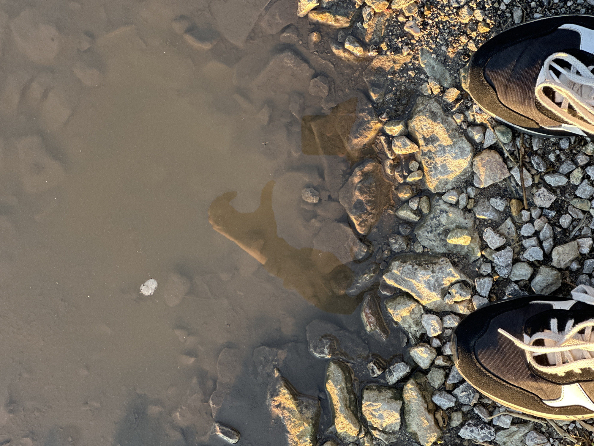 The image presents an overhead view, likely captured from a first-person perspective, showcasing a person's feet at the edge of a shallow body of water. The scene is set outdoors, characterized by a rocky and uneven ground next to turbid, brownish-gray water.
On the right side of the frame, two feet are visible, wearing black and white sneakers with distinctive white laces. These shoes rest on a terrain composed of varying sizes of rocks and gravel, interspersed with dirt. The rocks are illuminated by a warm, golden light, indicating either a low sun angle from late afternoon or early morning. This lighting creates subtle highlights and shadows on the textured surfaces of the stones.
The left side of the image is dominated by the calm, muddy water. Its surface reflects the ambient light and reveals the vague shapes of submerged rocks and sediment beneath. A small, white, foamy bubble floats on the water near the upper left. Notably, a clear reflection of an arm and hand is visible in the water in the lower-middle section, suggesting the person taking the photograph is extending their arm, perhaps holding the camera or simply reaching towards the water.
The photograph captures a tranquil moment by the water's edge in what appears to be a natural setting, possibly a riverbank or a lake shore in Slavyani, Bulgaria. There is no visible text in the image.