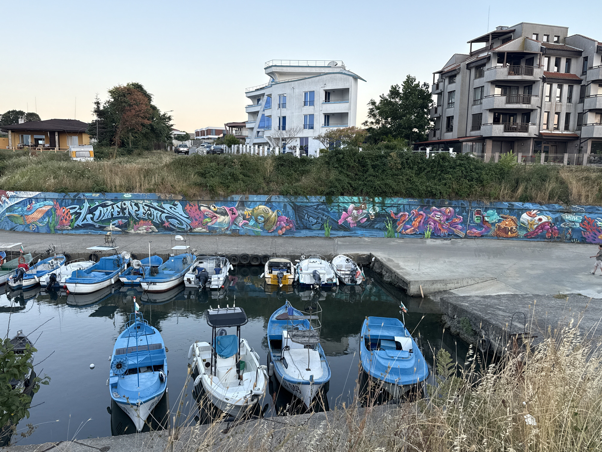 The image depicts a harbor in Lozenets, Bulgaria, characterized by a prominent mural of marine life and graffiti adorning a seawall. Several boats, predominantly small blue and white vessels, are moored in the calm, dark water. Beyond the harbor, the landscape transitions to a grassy embankment with scattered trees and a few residential buildings, including a modern white structure with multiple balconies and a more conventional grey apartment building. The sky is clear with a soft, overcast light, suggesting either early morning or late evening. A lone figure walks on a concrete pathway near the harbor's edge. The overall scene is tranquil, with a focus on the juxtaposition of urban development and the natural maritime environment, further enhanced by the vibrant artwork.