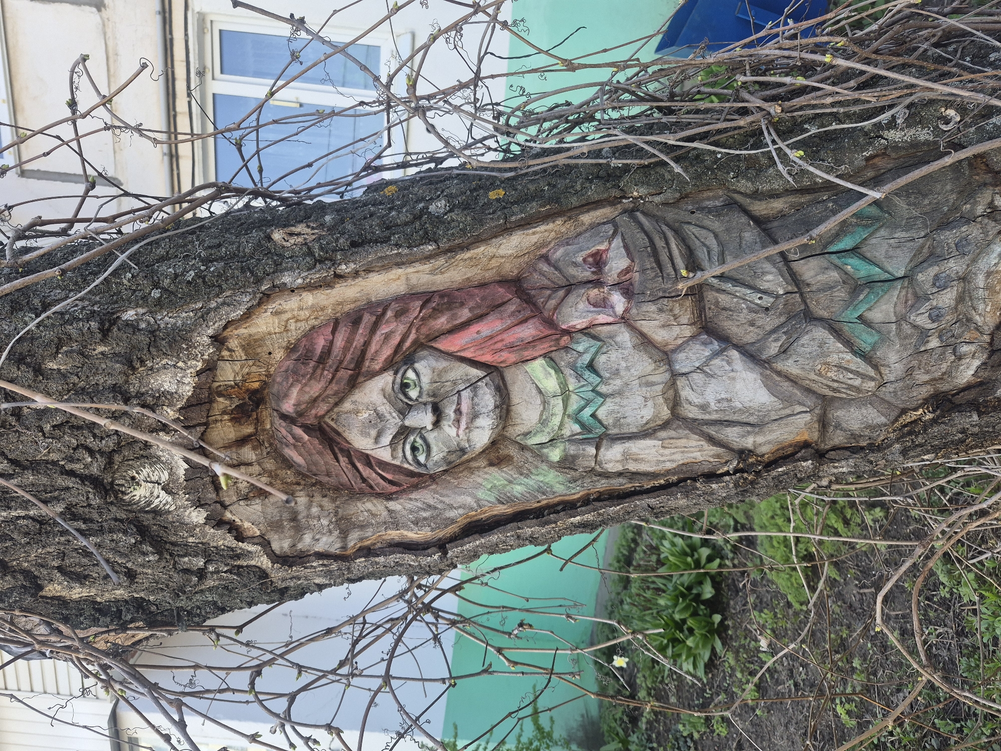A tree trunk with a carving of a woman's face is displayed in a public area in Unknown, Unknown. The carving features a woman with green eyes and red hair, likely rendered with wood. The bark surrounds the carving, and leafless branches obstruct the view. A building with white and green walls is visible in the background. The ground is covered with grass and other plants.
