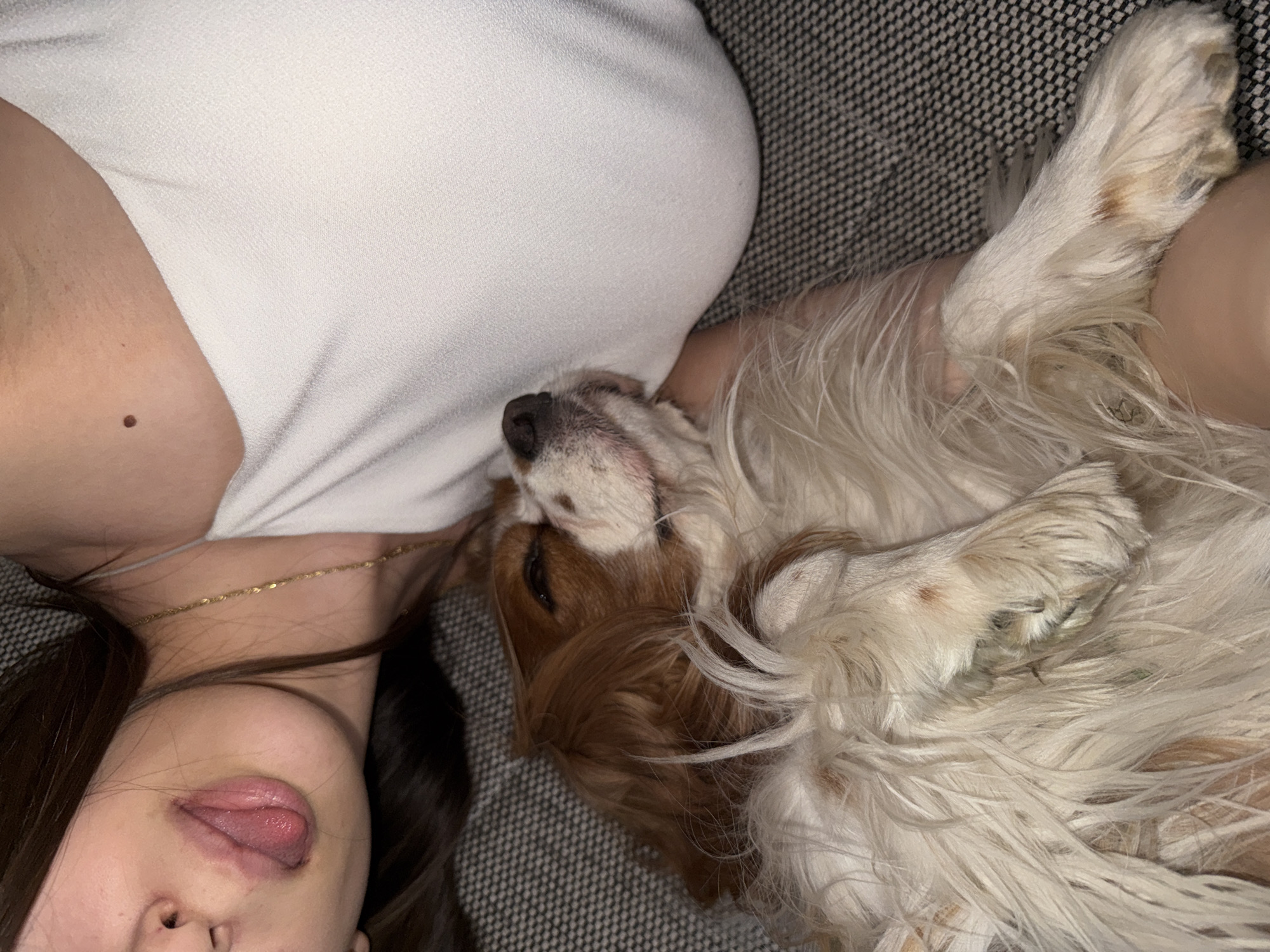 A woman with long, dark hair and a gold necklace is lying down, with her tongue slightly sticking out. She is wearing a white top. A Cavalier King Charles Spaniel is lying on her chest, appearing to be asleep. The background is a grey textured surface, possibly a sofa or bed. The location is unknown and there is no information about Sofia, Bulgaria.